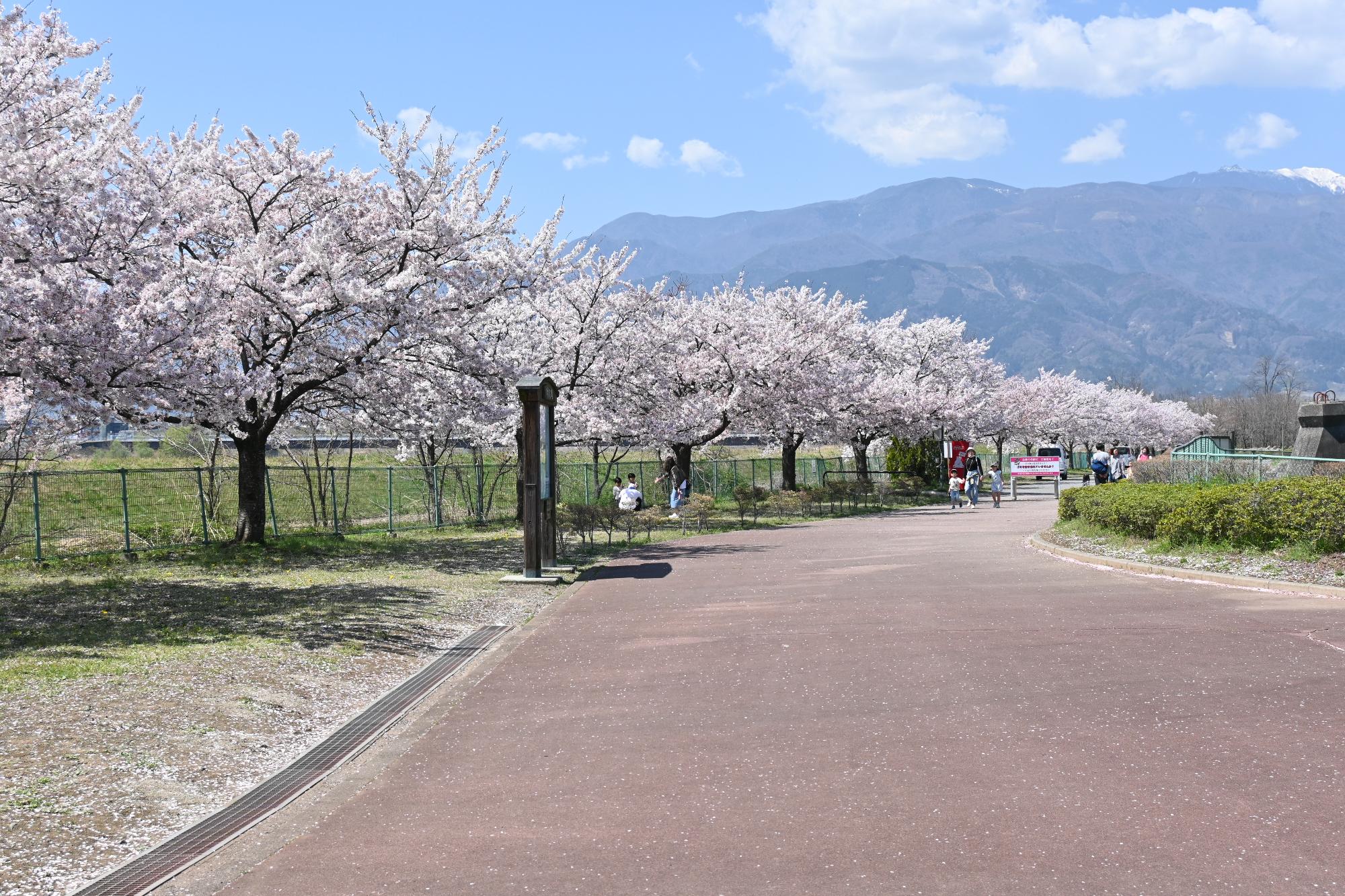 20230401双葉水辺公園