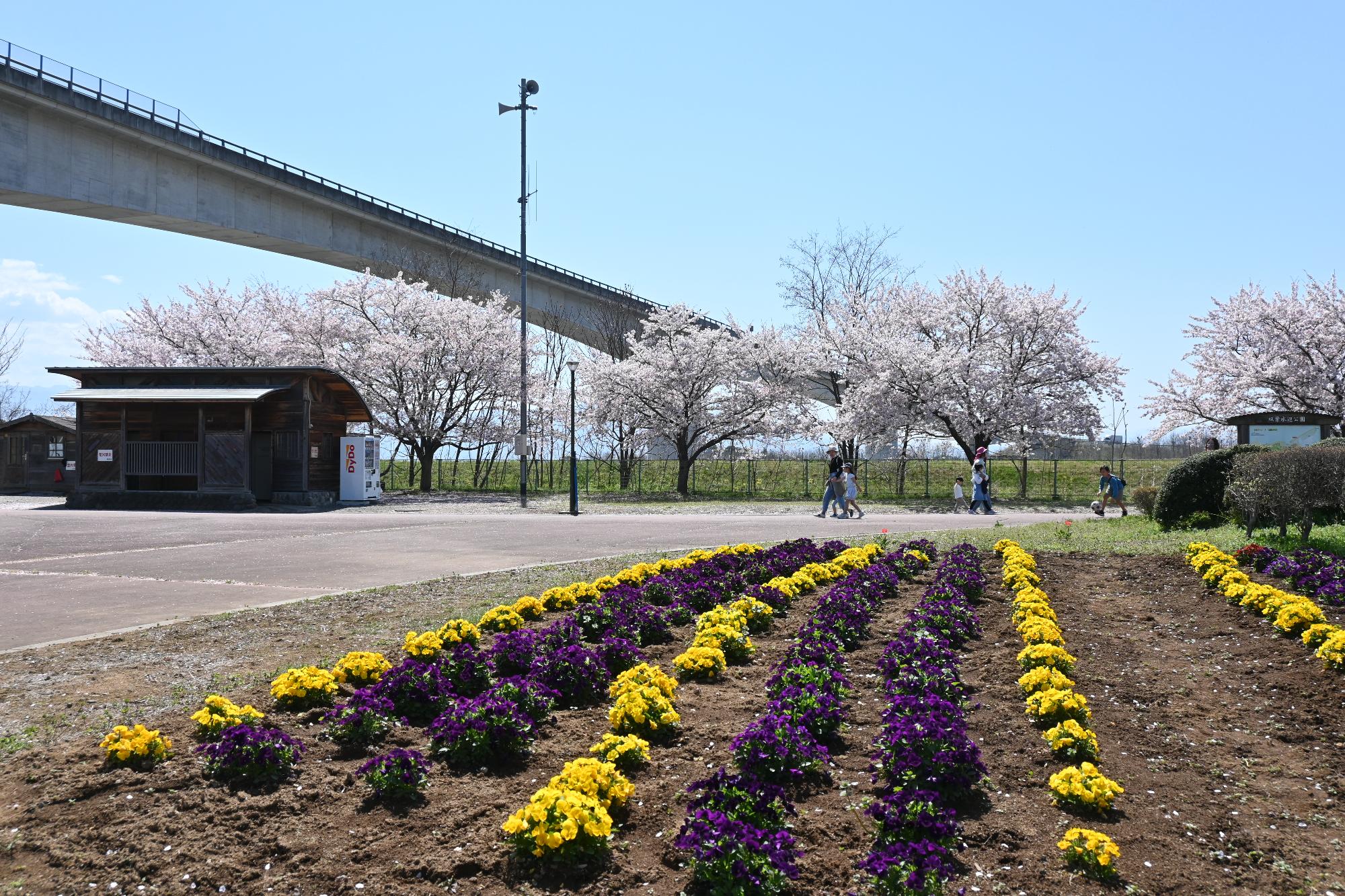 20230401双葉水辺公園