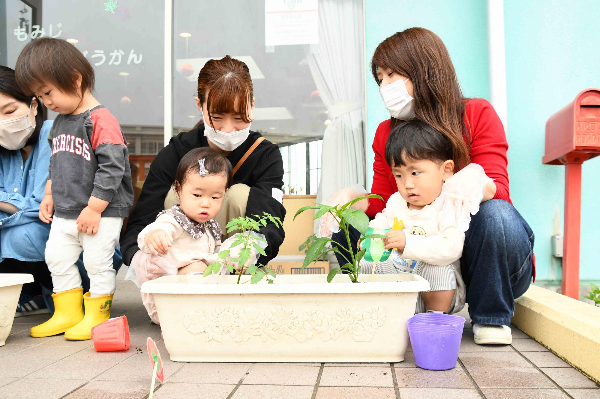 20230523竜王南児童館ミニトマトを植えよう