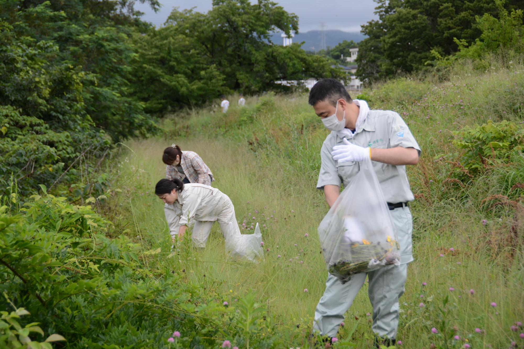 20230701富士川流域河川清掃