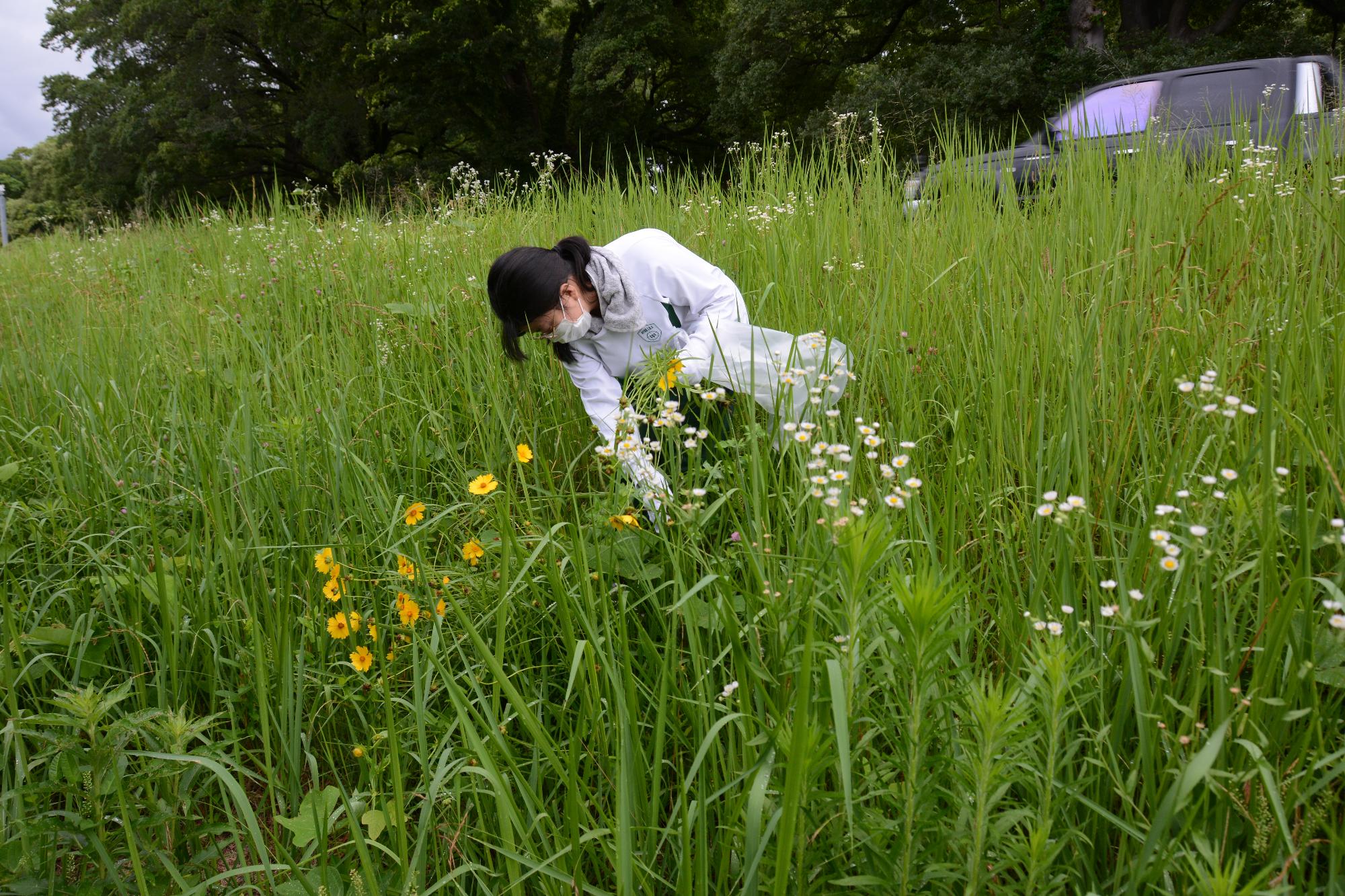 20230701富士川流域河川清掃