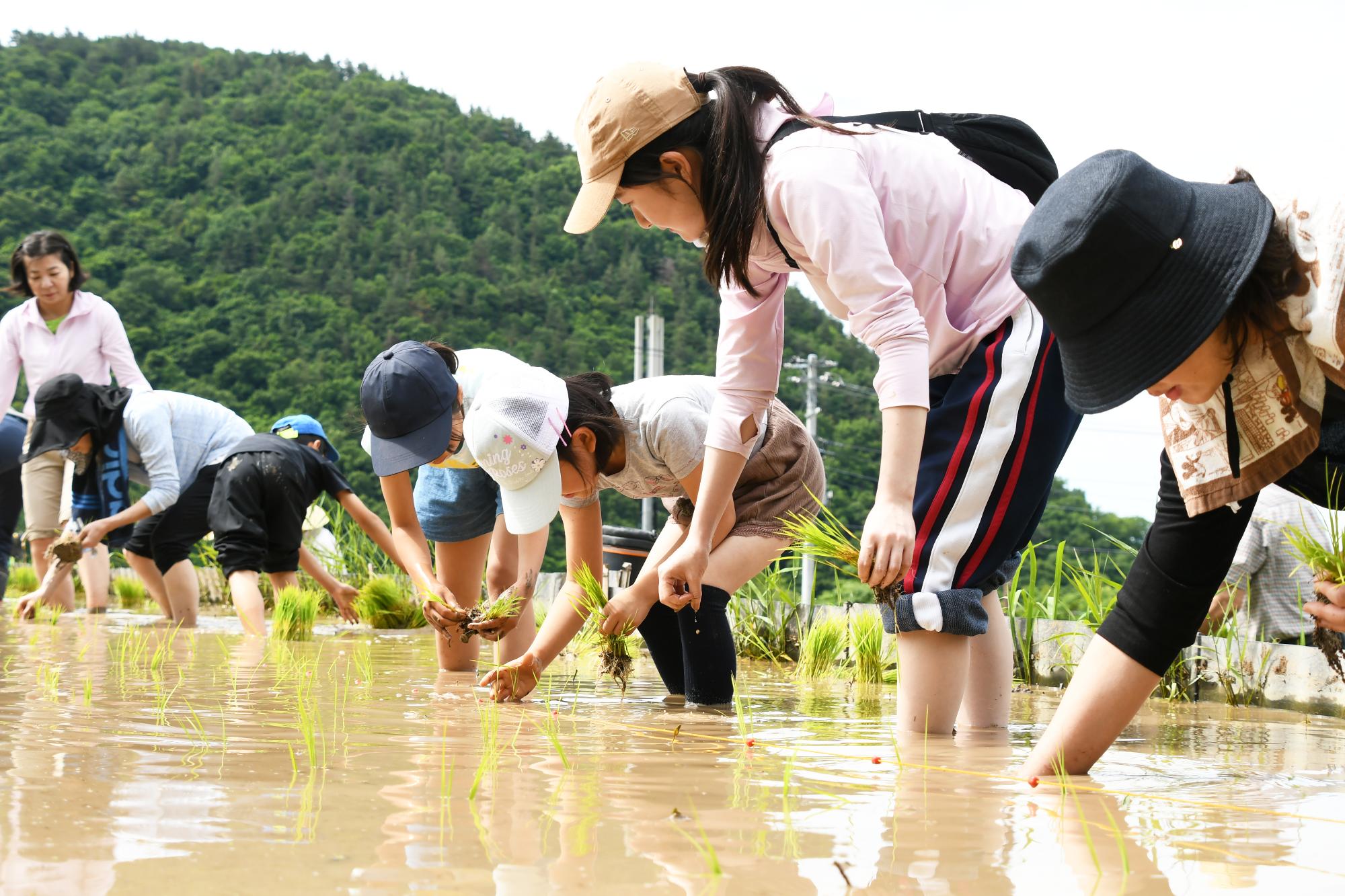 20240601御領棚田で田植え