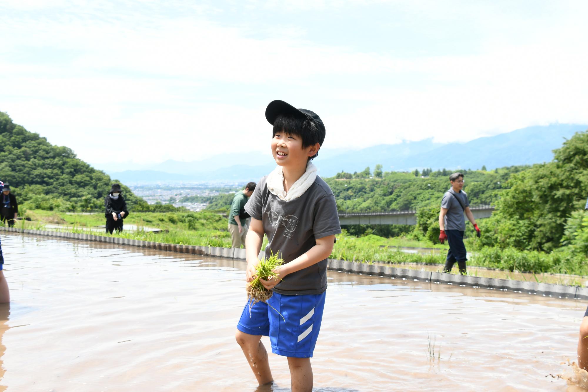 20240601御領棚田で田植え