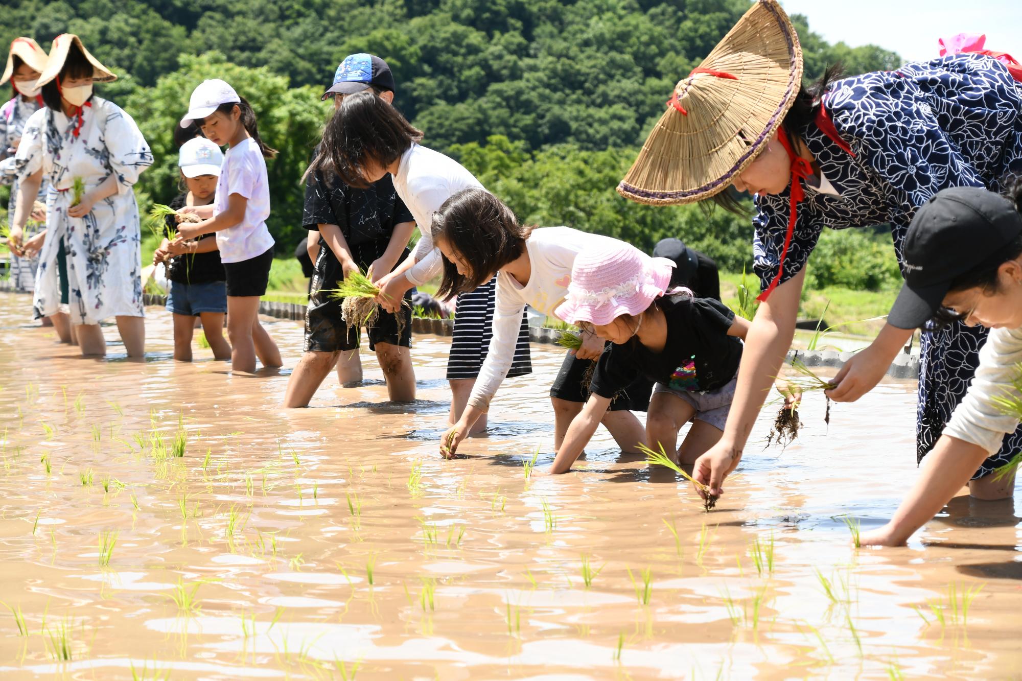 20240601御領棚田で田植え