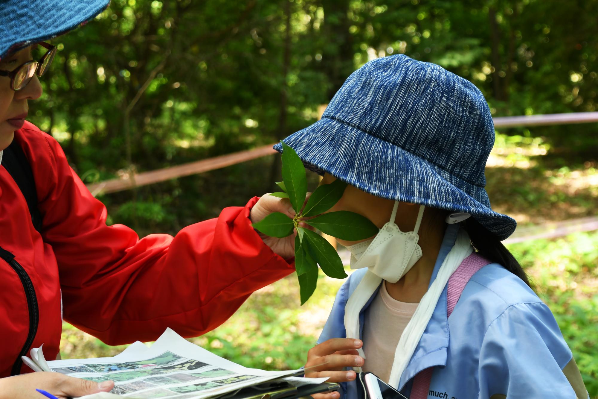 20240608子ども歴史文化講座