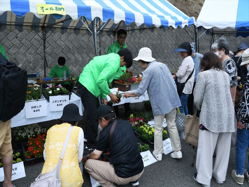 農林高校生による花の苗の販売