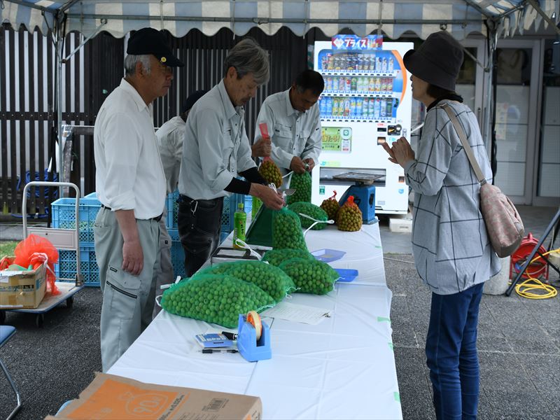 もぎたて甲州小梅の販売、お買い上げありがとうございます