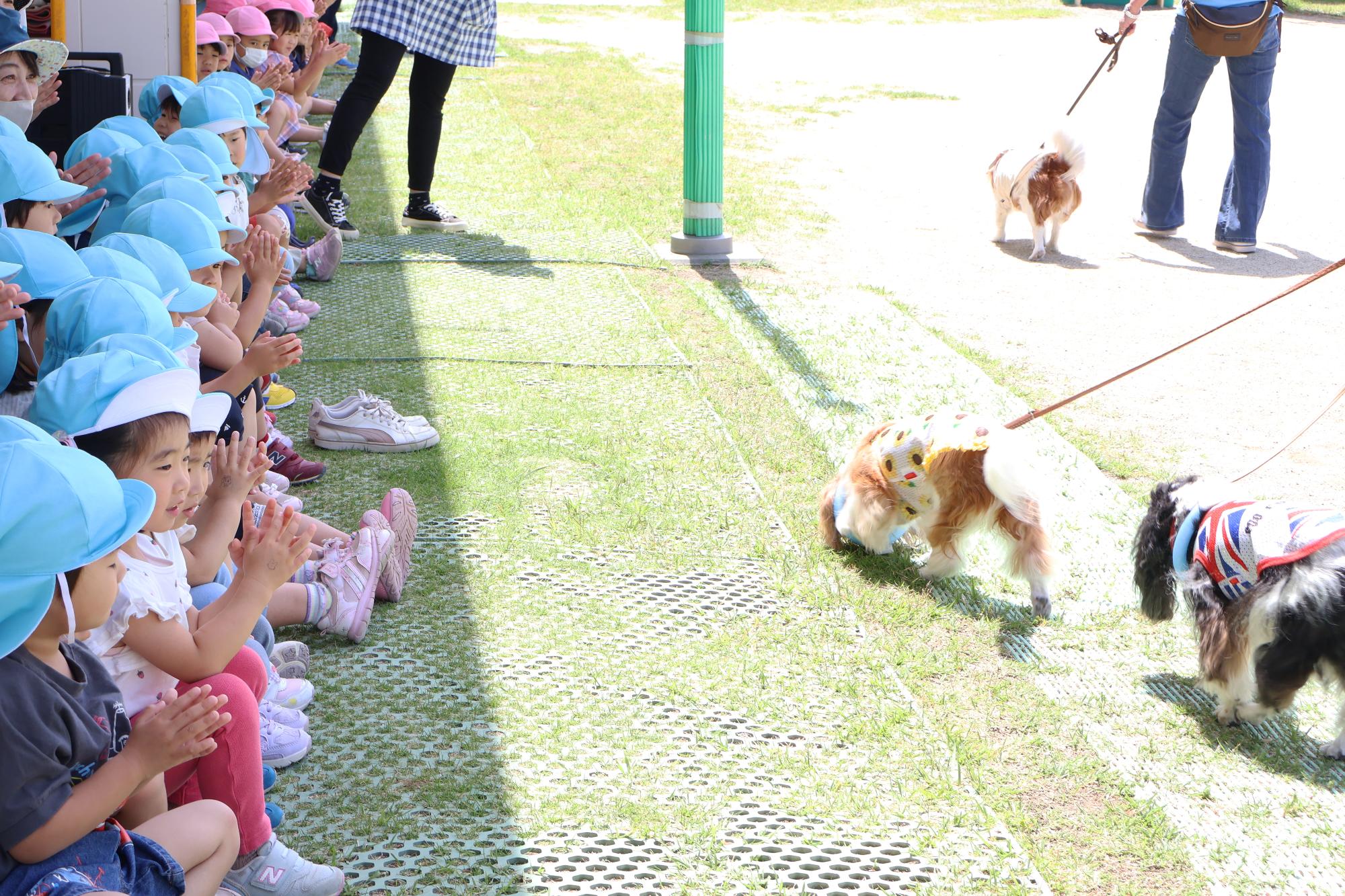 竜王東保育園セラピードッグ