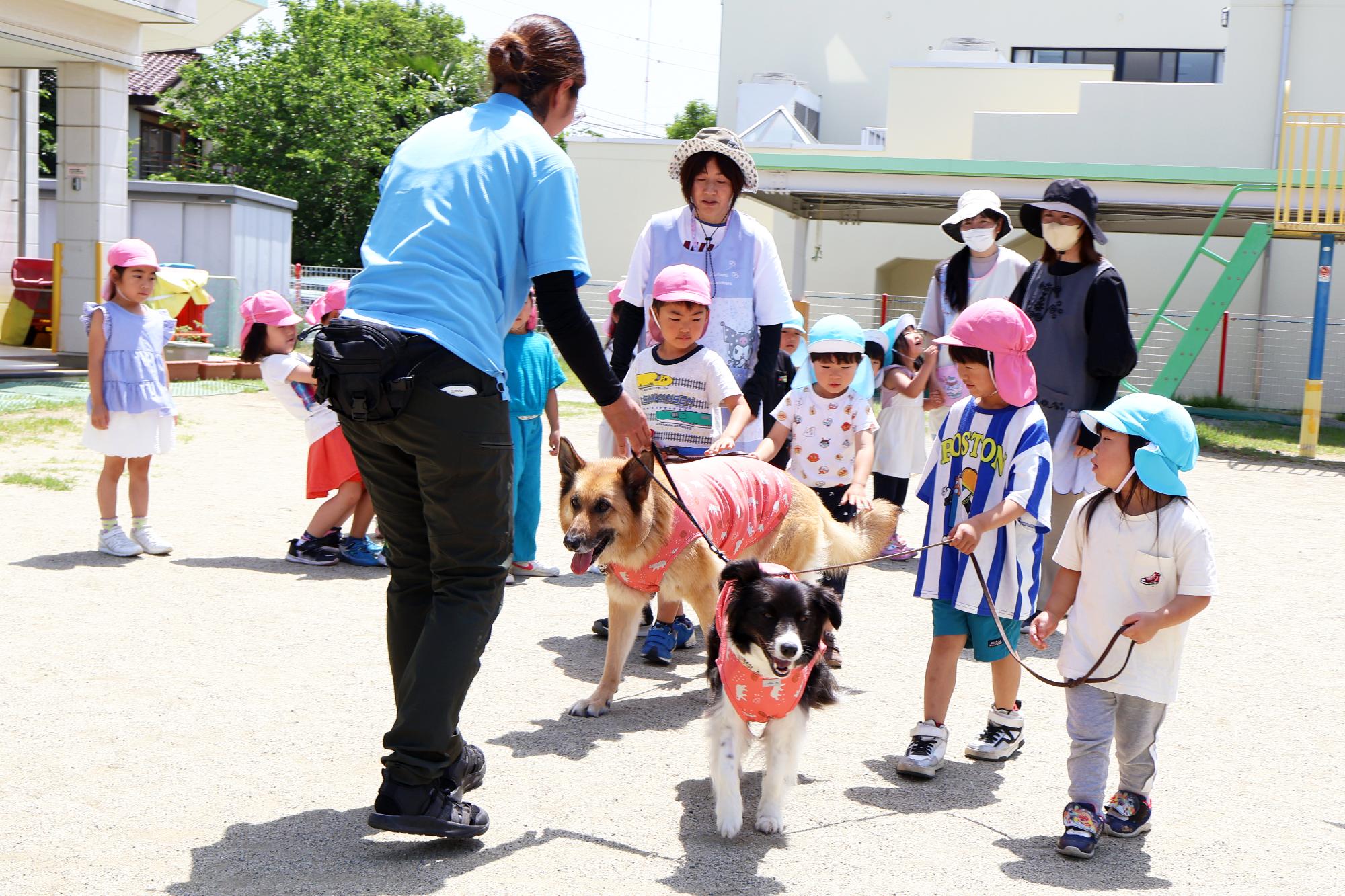 竜王東保育園セラピードッグ