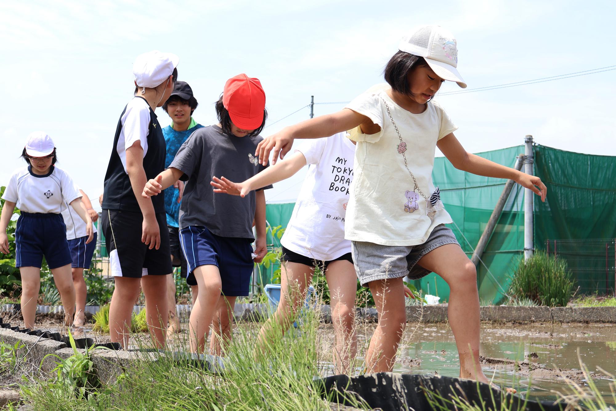 20250614敷島北小田植え