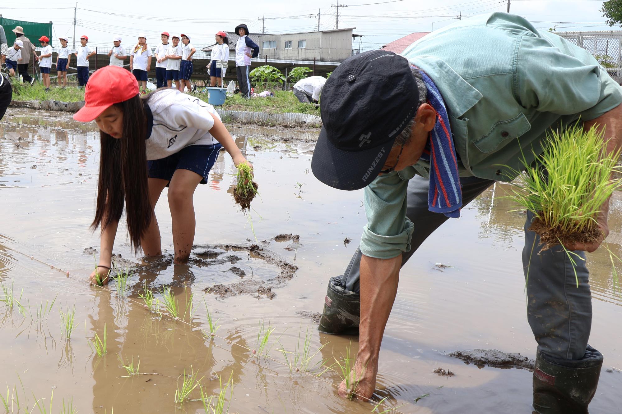 20250614敷島北小田植え