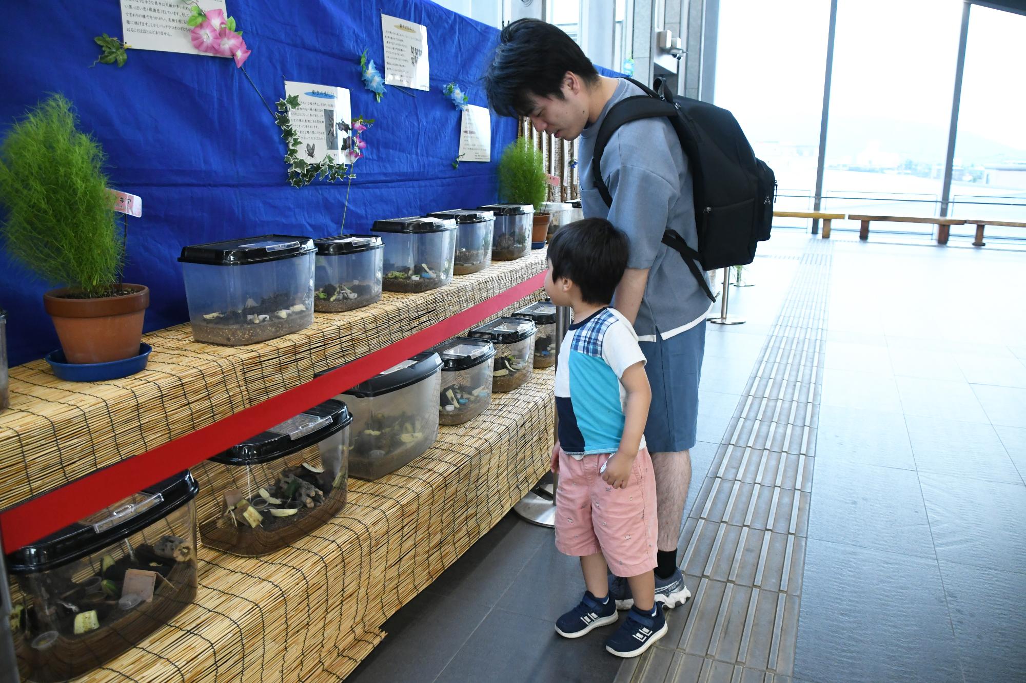 20250803竜王駅で鈴虫の声を聴く甲斐