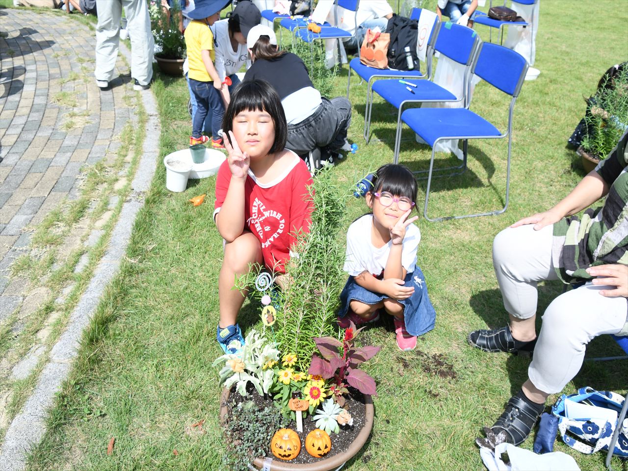 きれいに植えられました