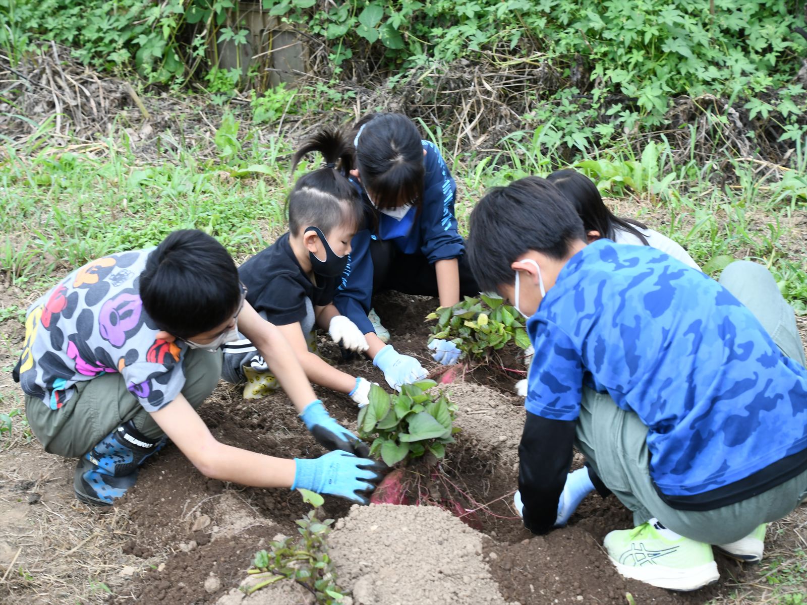 みんなで掘りましょう