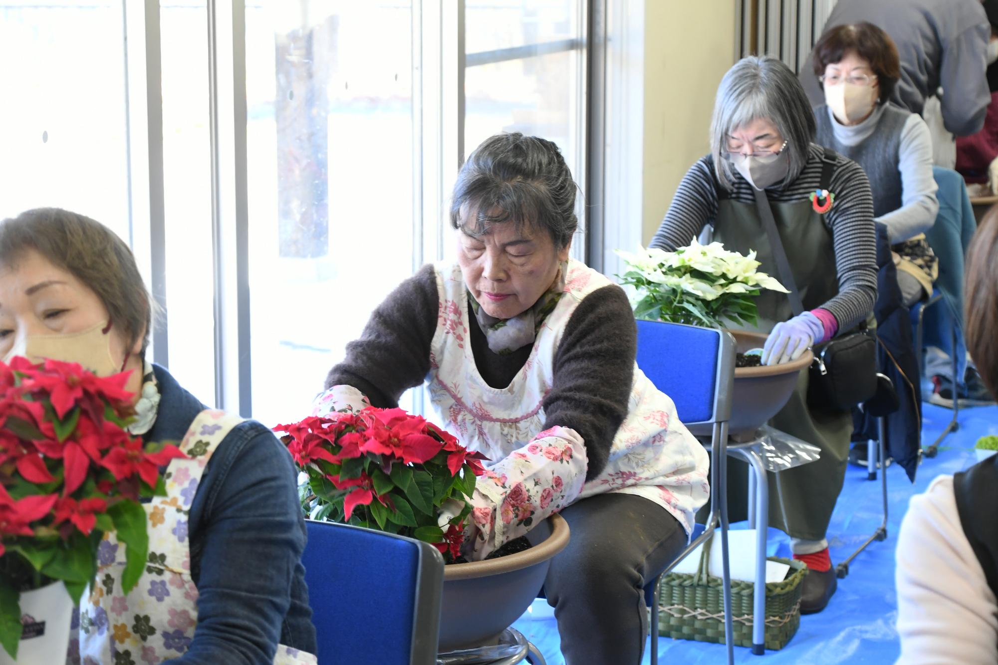 20251128いきいきふれ愛寄せ植え教室