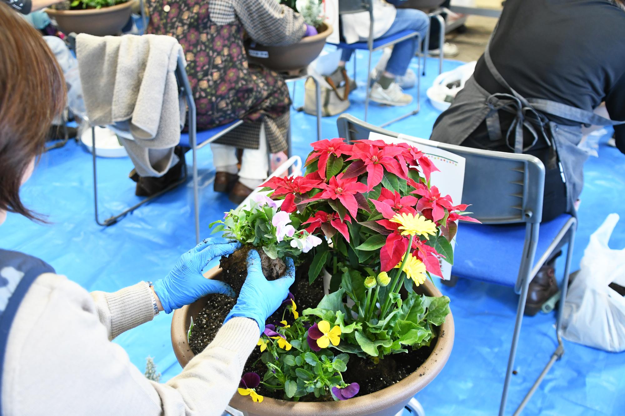 20251128いきいきふれ愛寄せ植え教室