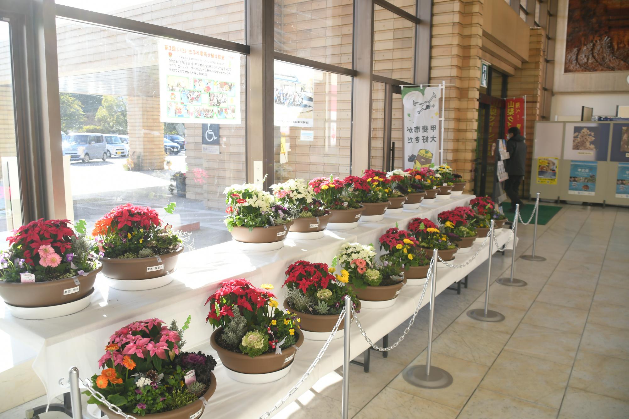 20251128いきいきふれ愛寄せ植え教室