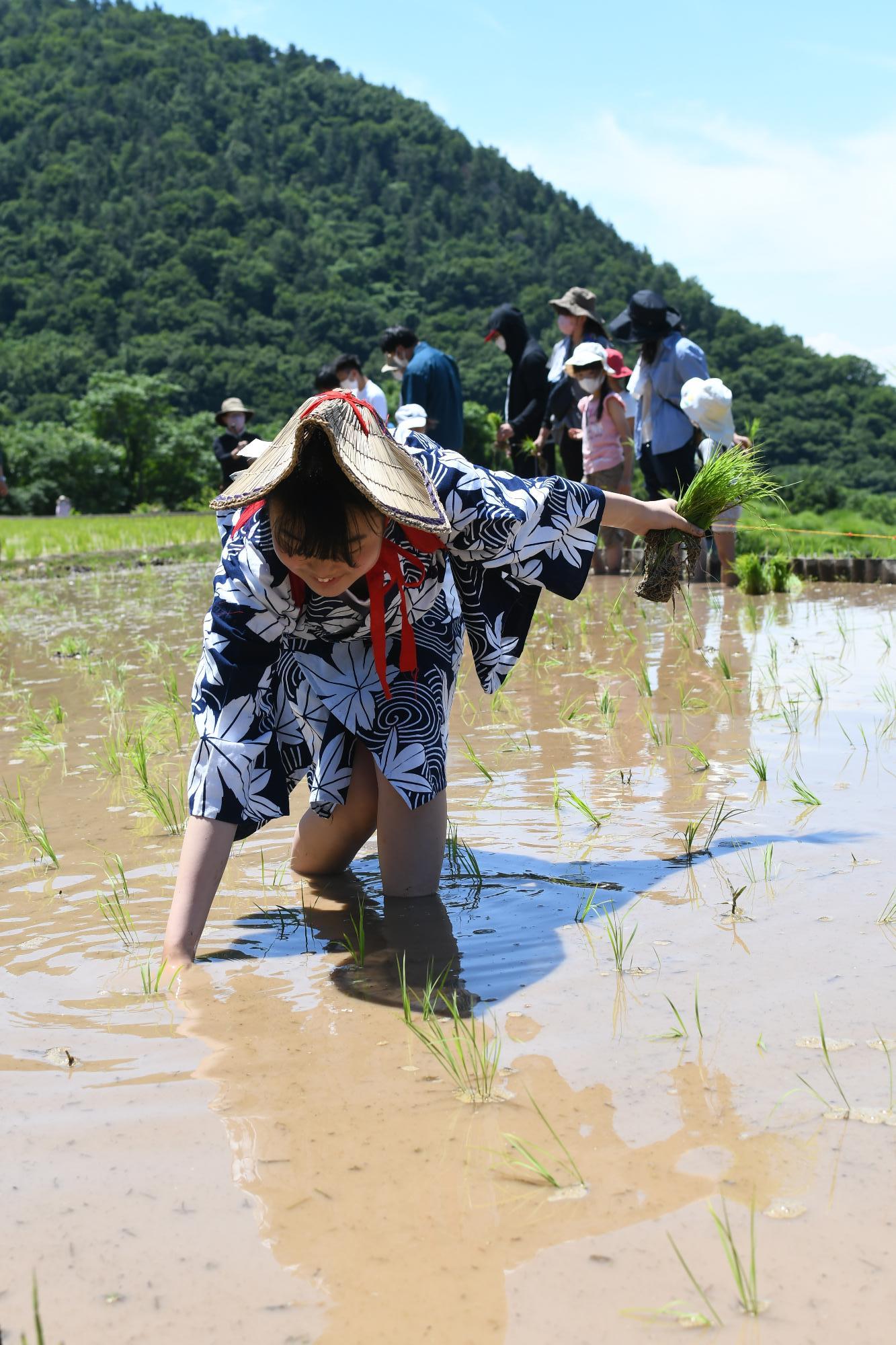 御領棚田田植え