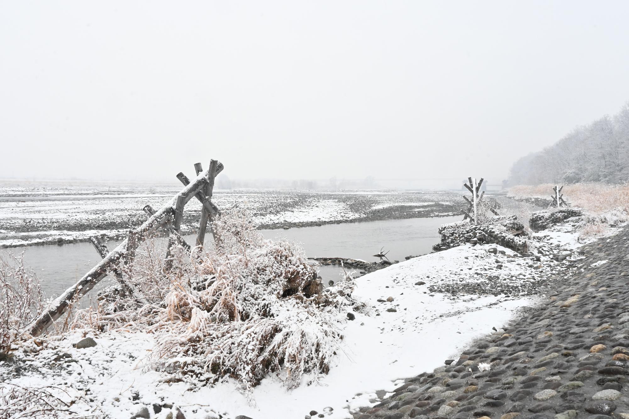 甲斐市初雪