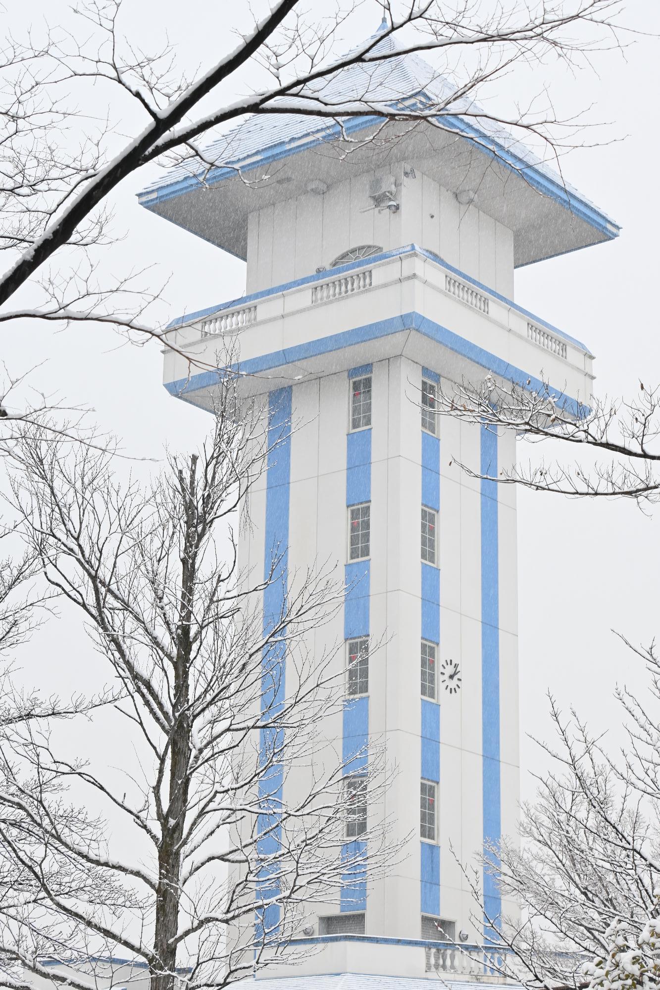 甲斐市初雪