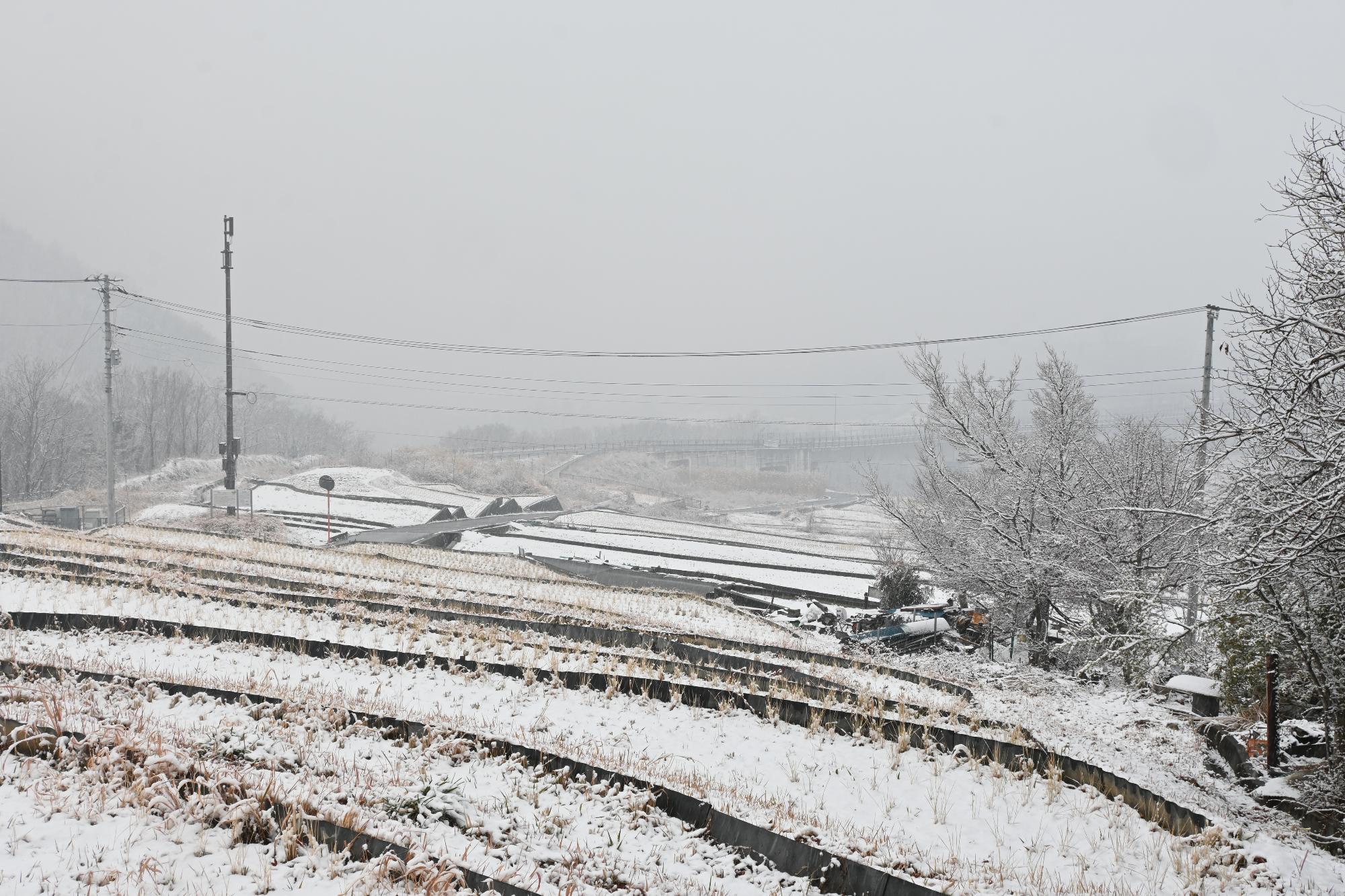 甲斐市初雪