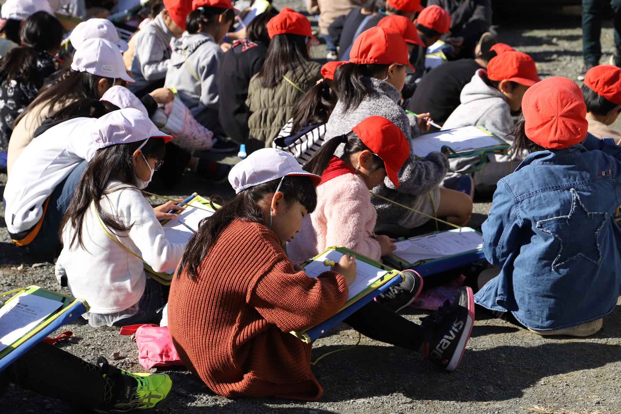 赤坂農場で赤坂とまとの校外学習