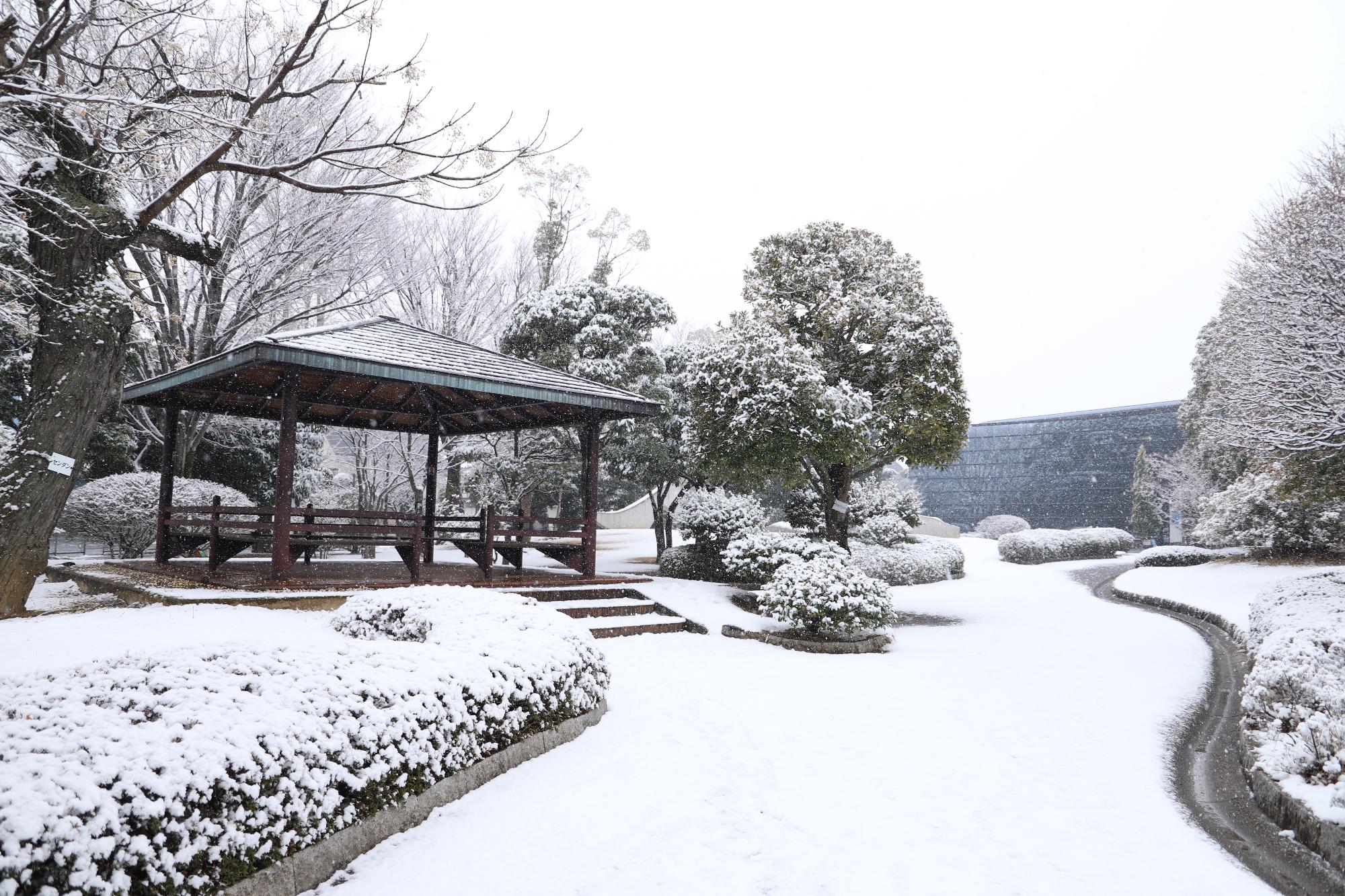 甲斐市初雪