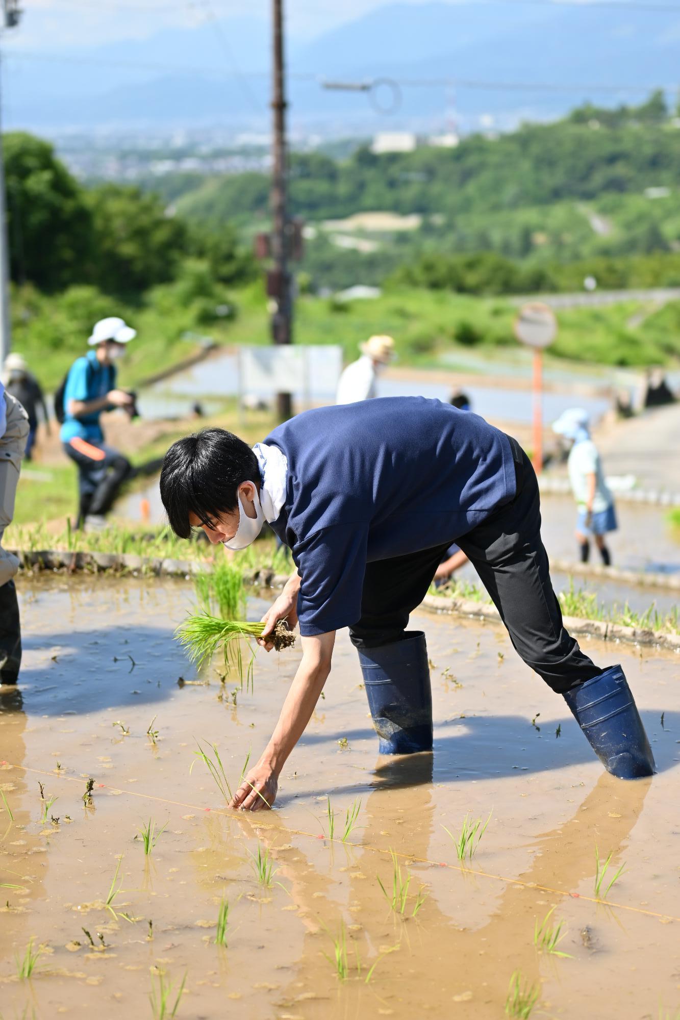 御領棚田田植え