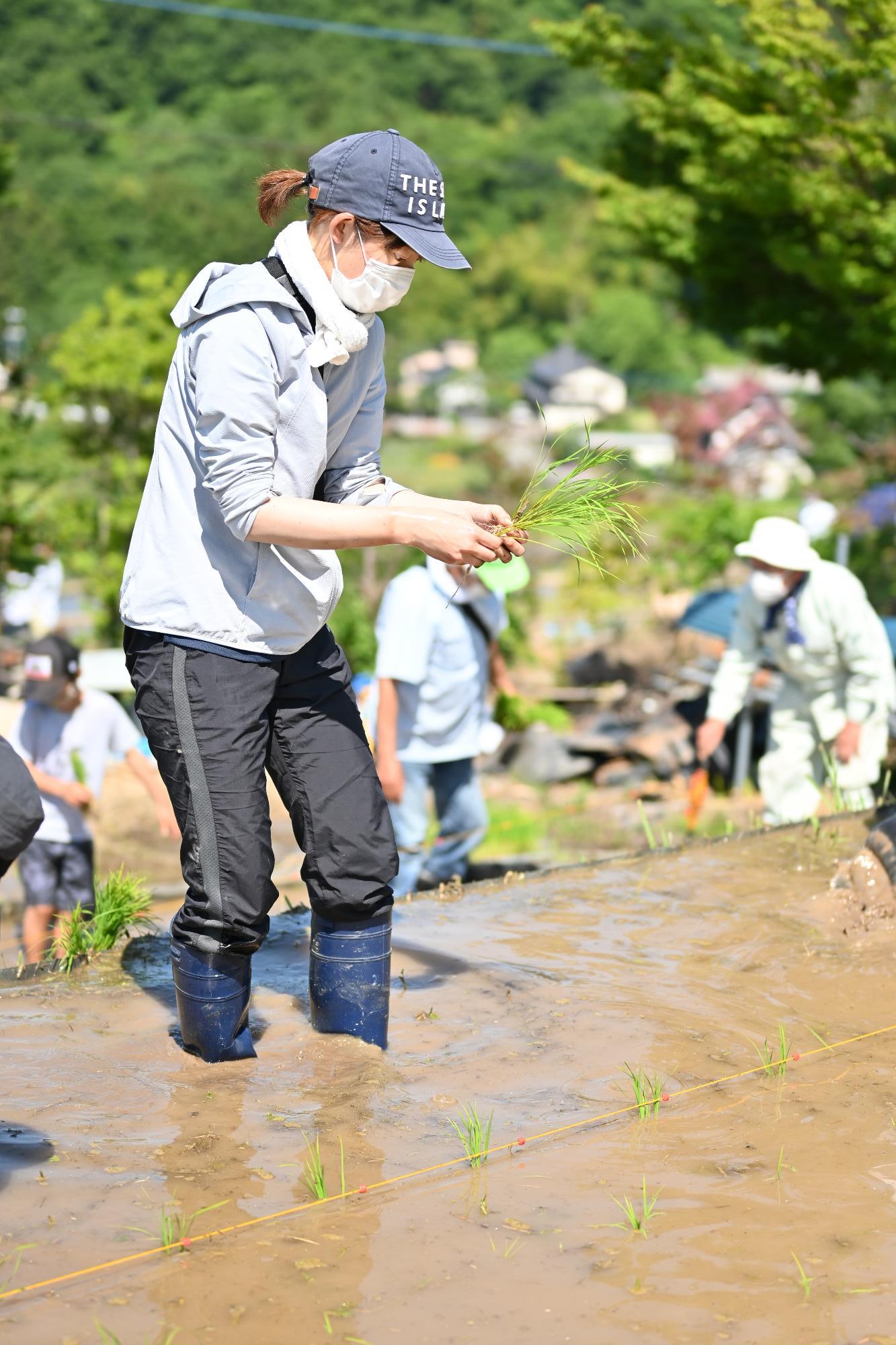 御領棚田田植え