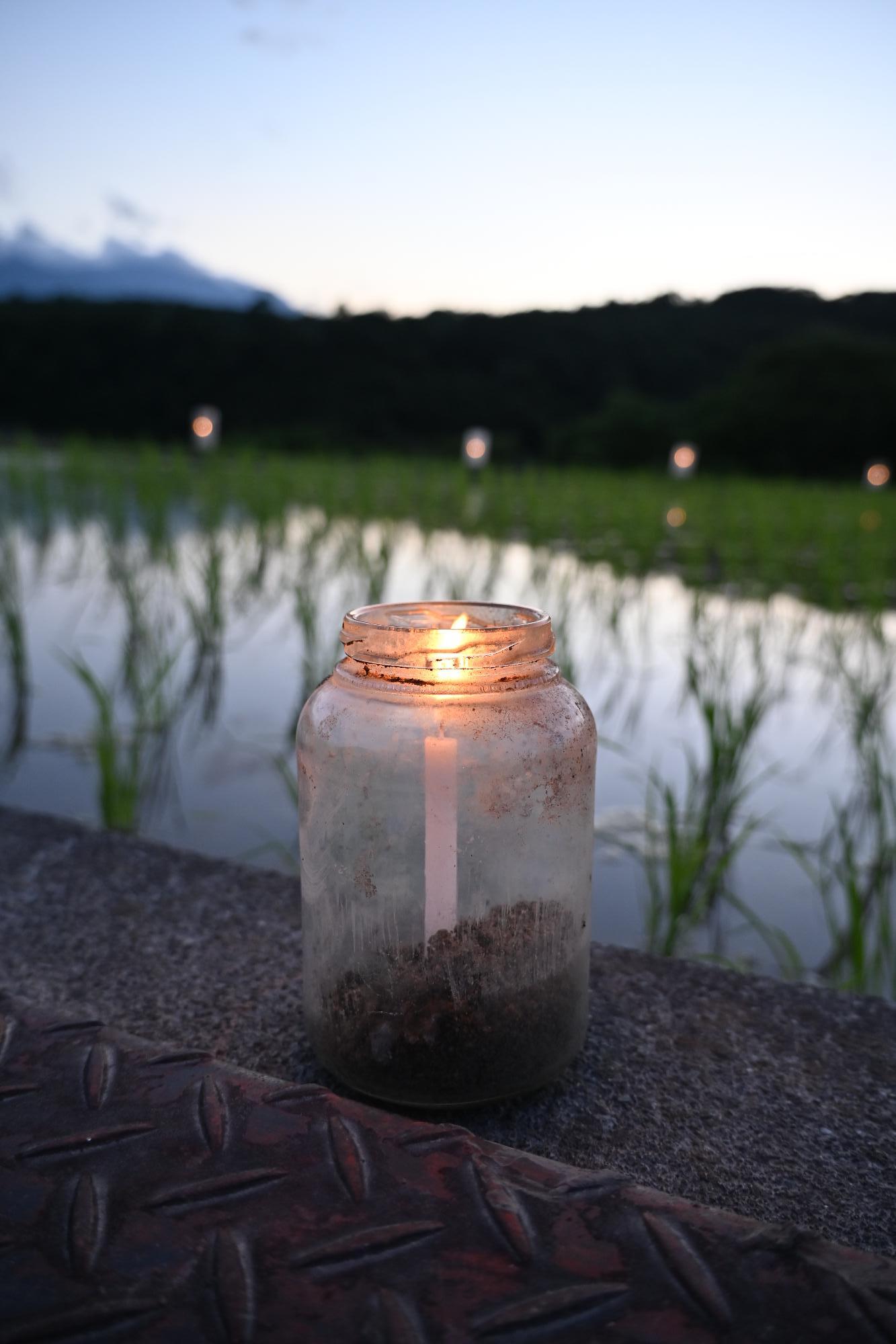 御領棚田ろうそく祭り