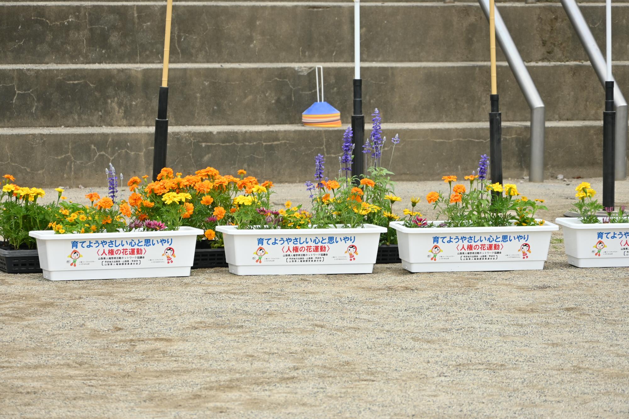 人権の花運動