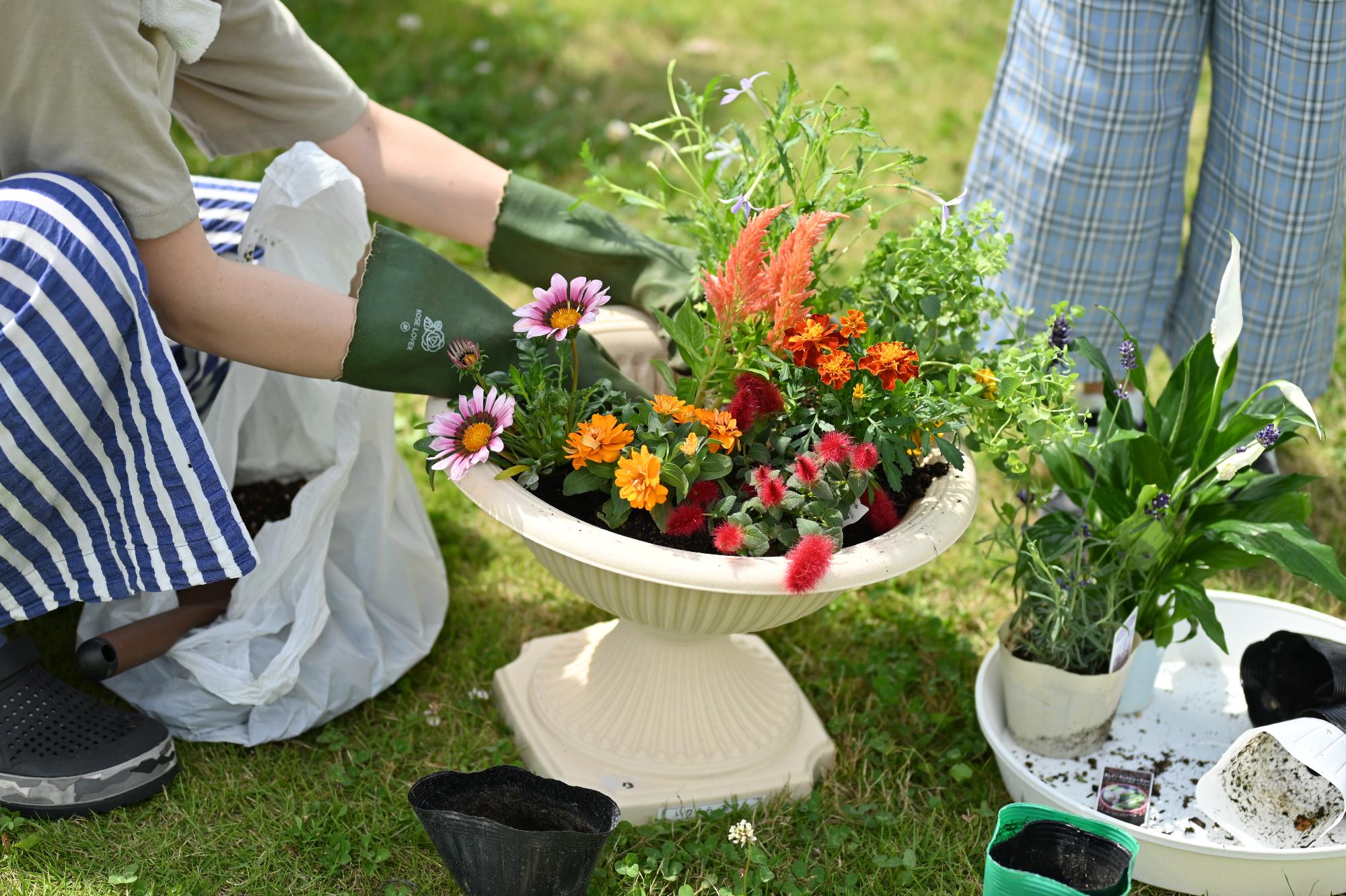 親子ふれ愛寄せ植え教室