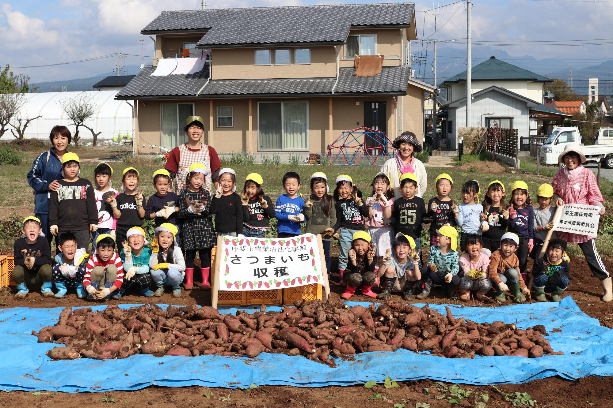 赤坂圃場さつまいも掘り