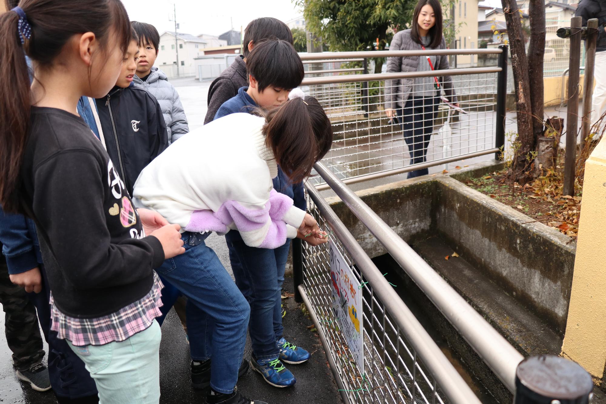 玉小5年生がポイ捨て禁止看板設置