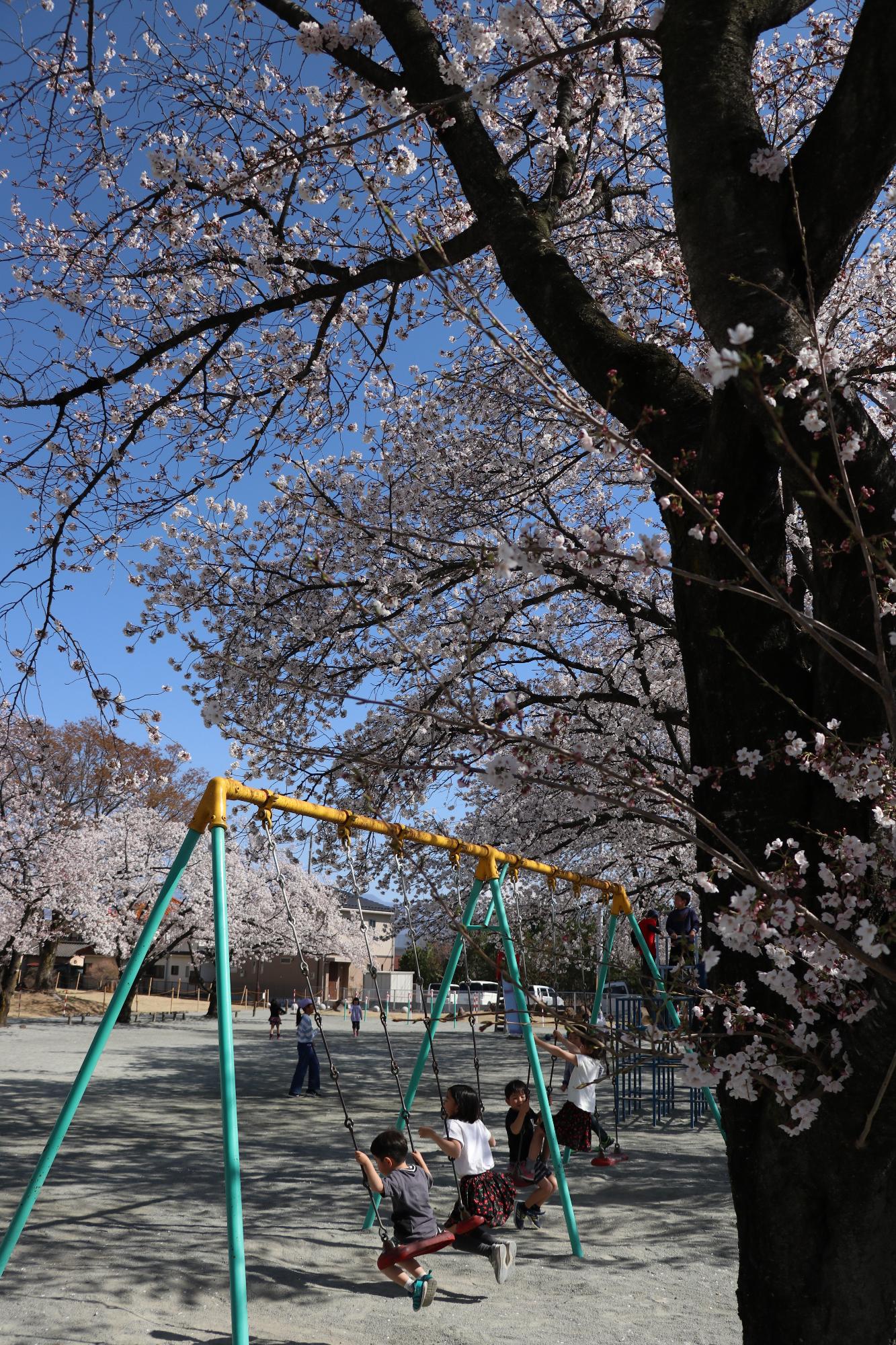 竜王中部公園20190405-2