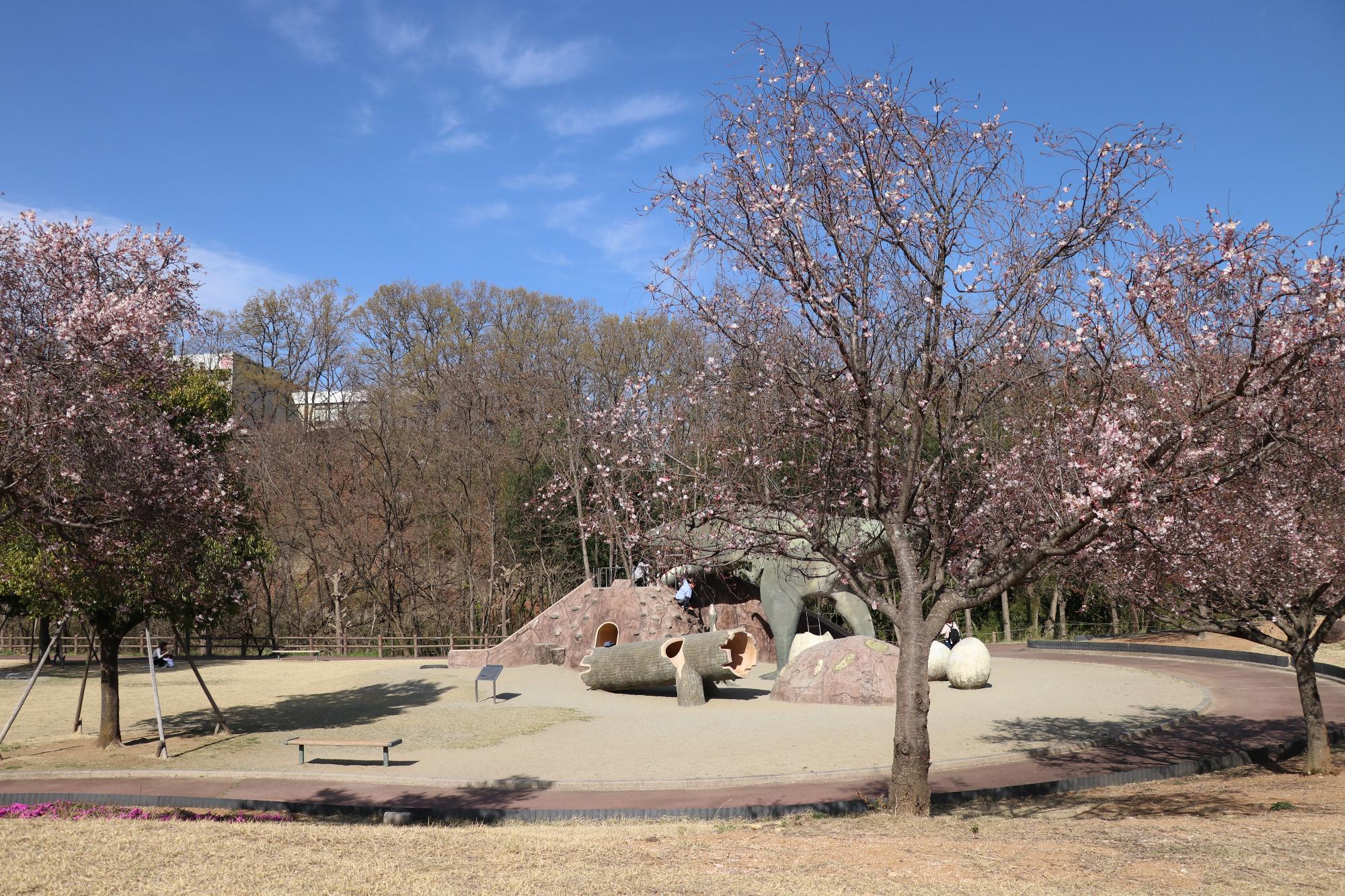 双葉水辺公園20190405-4