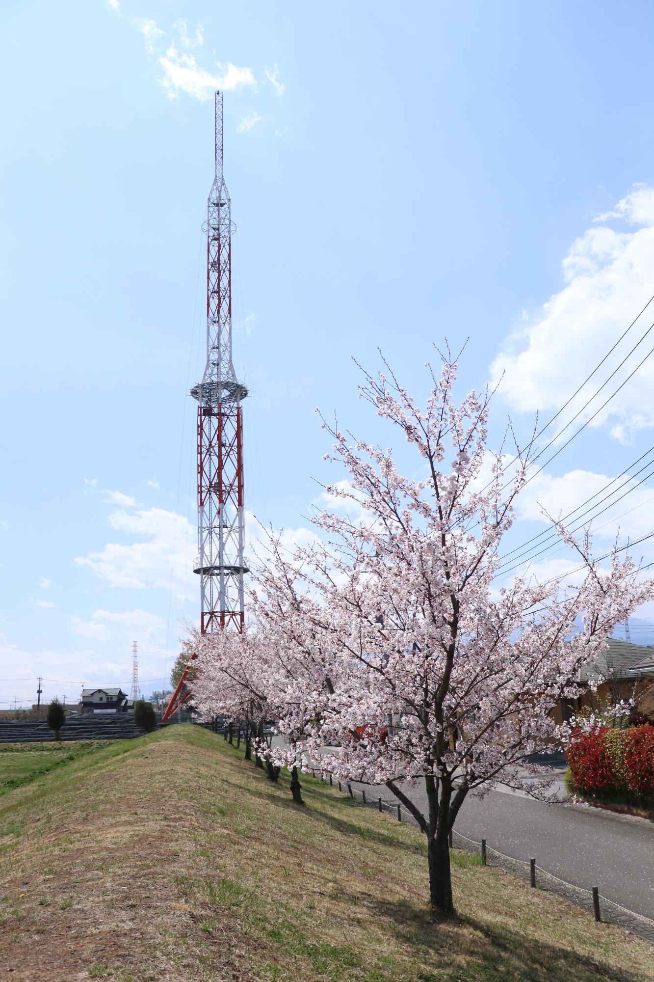 鳥が池芝生公園