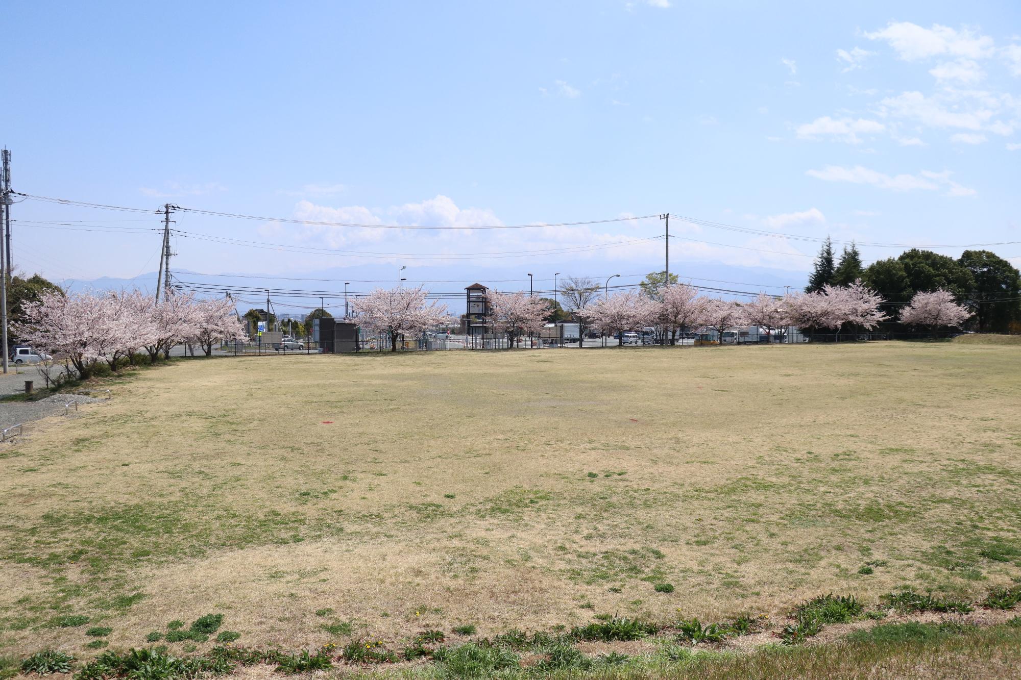 鳥が池芝生公園