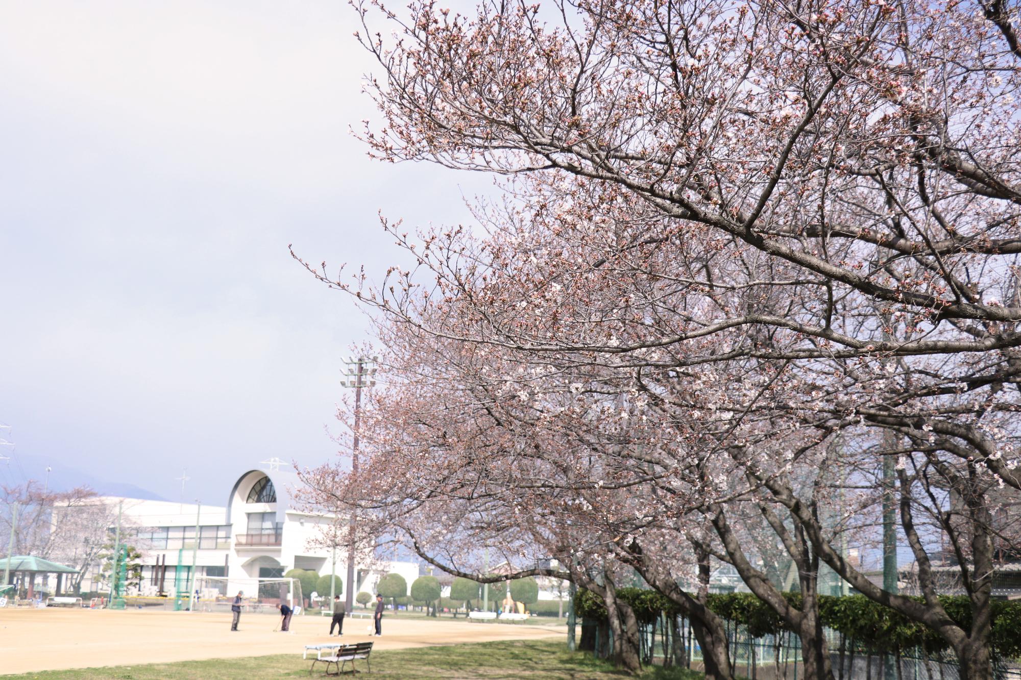 竜王南部公園