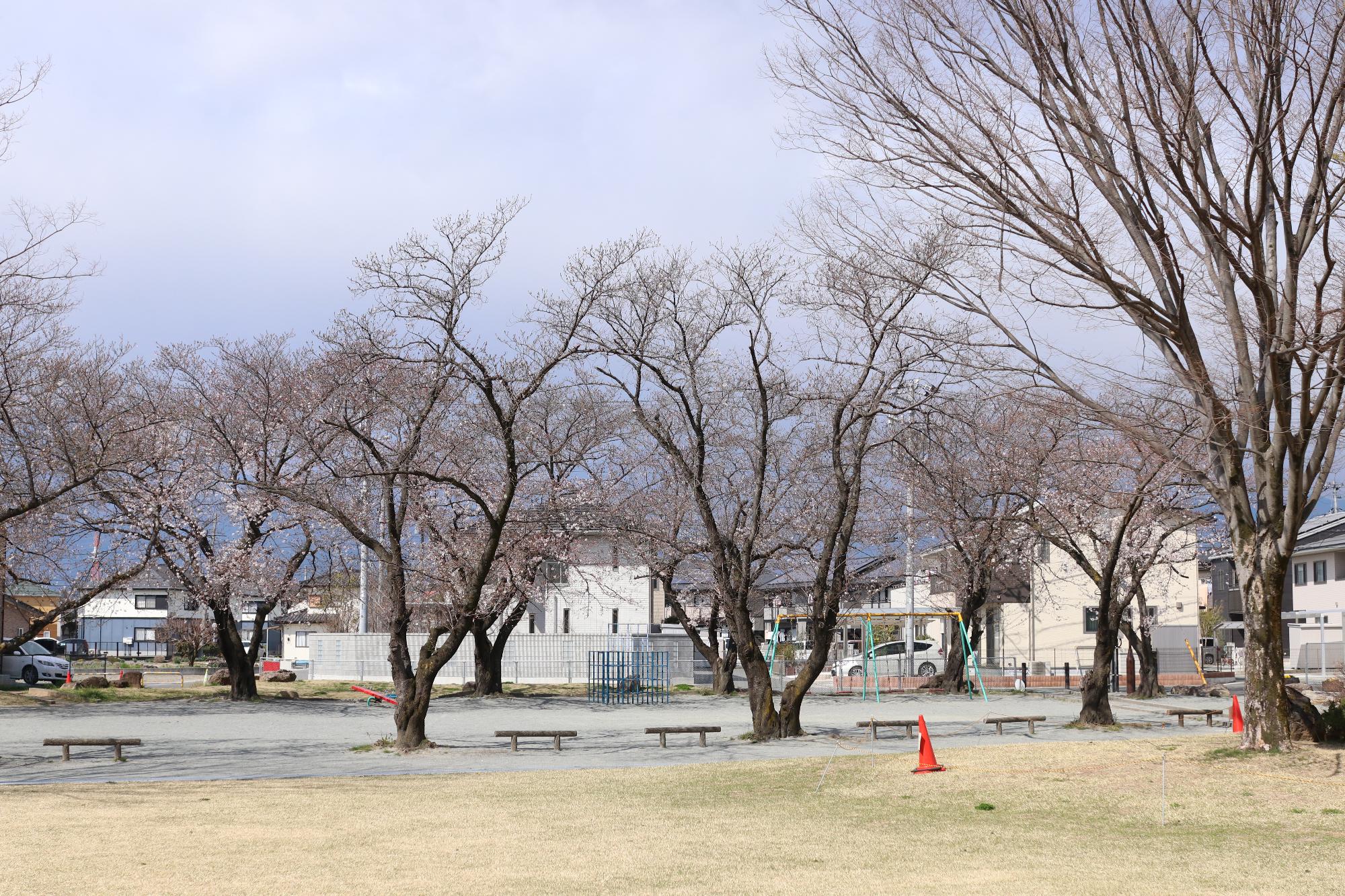 中部公園