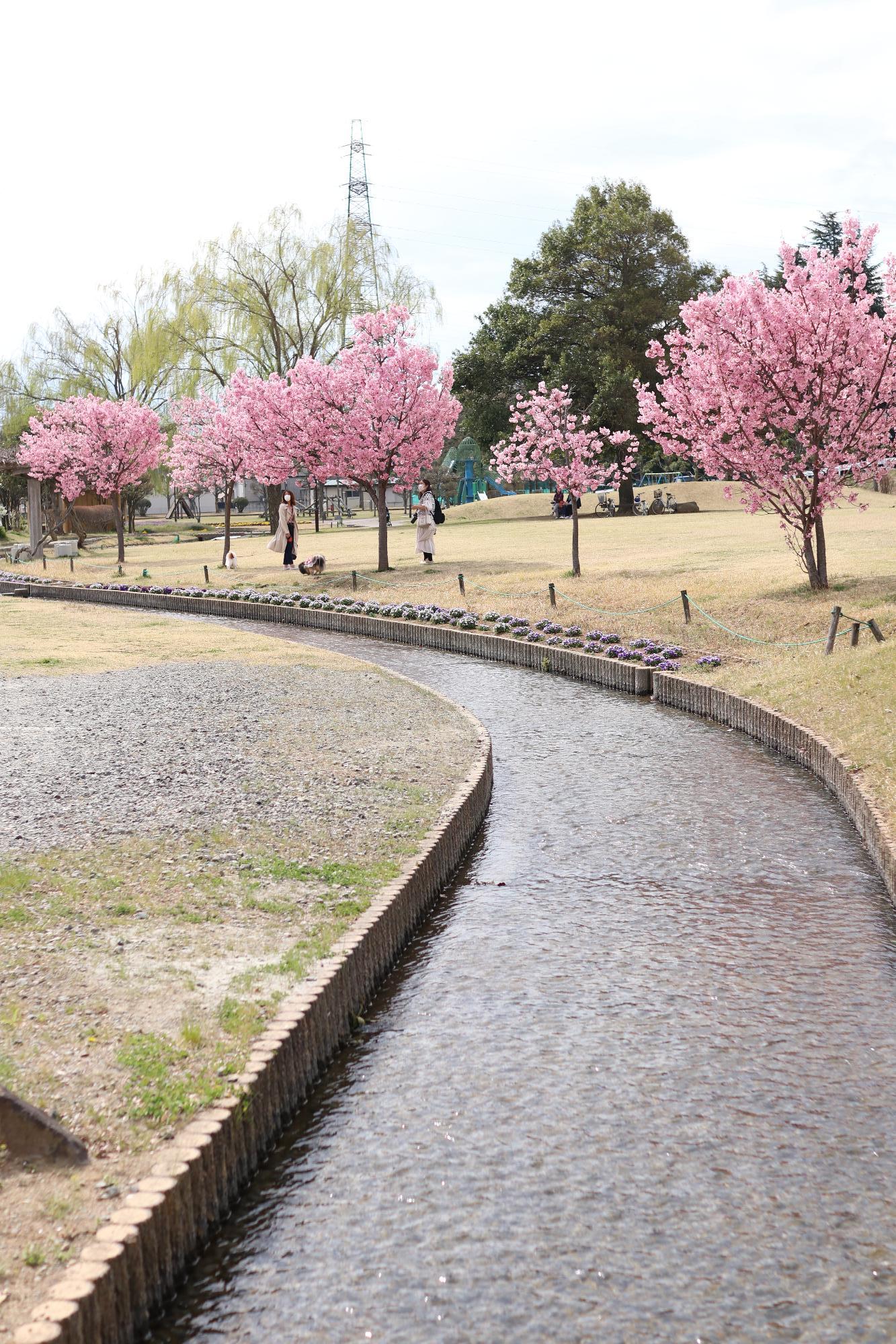 西八幡公園