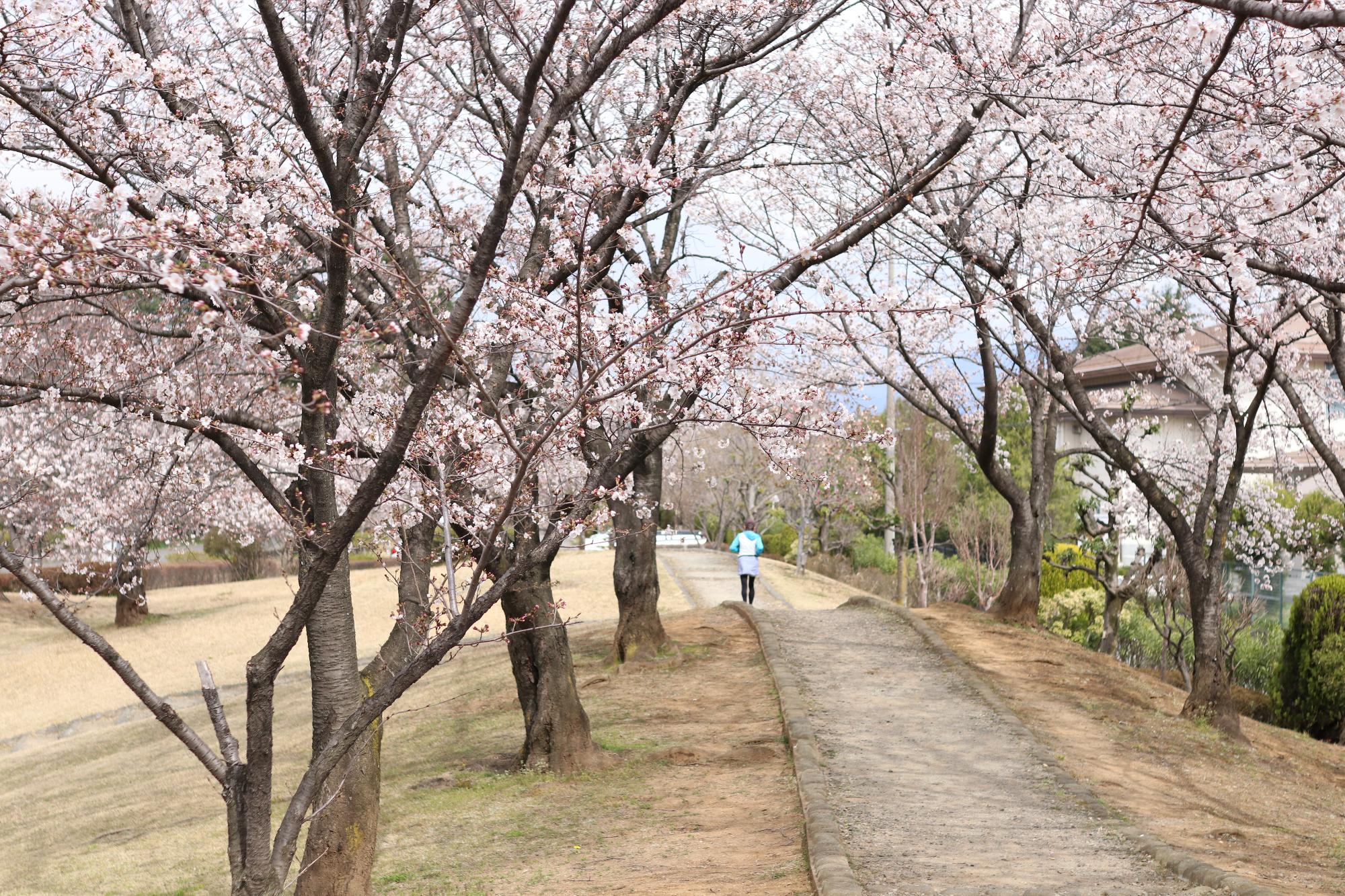 西八幡公園