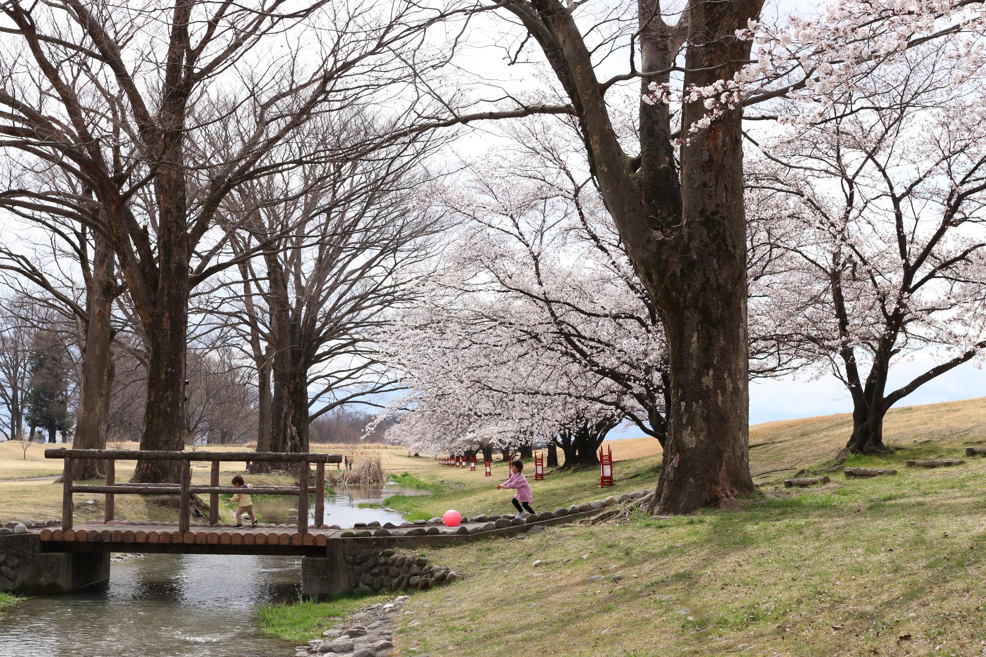 信玄堤公園三社神社付近