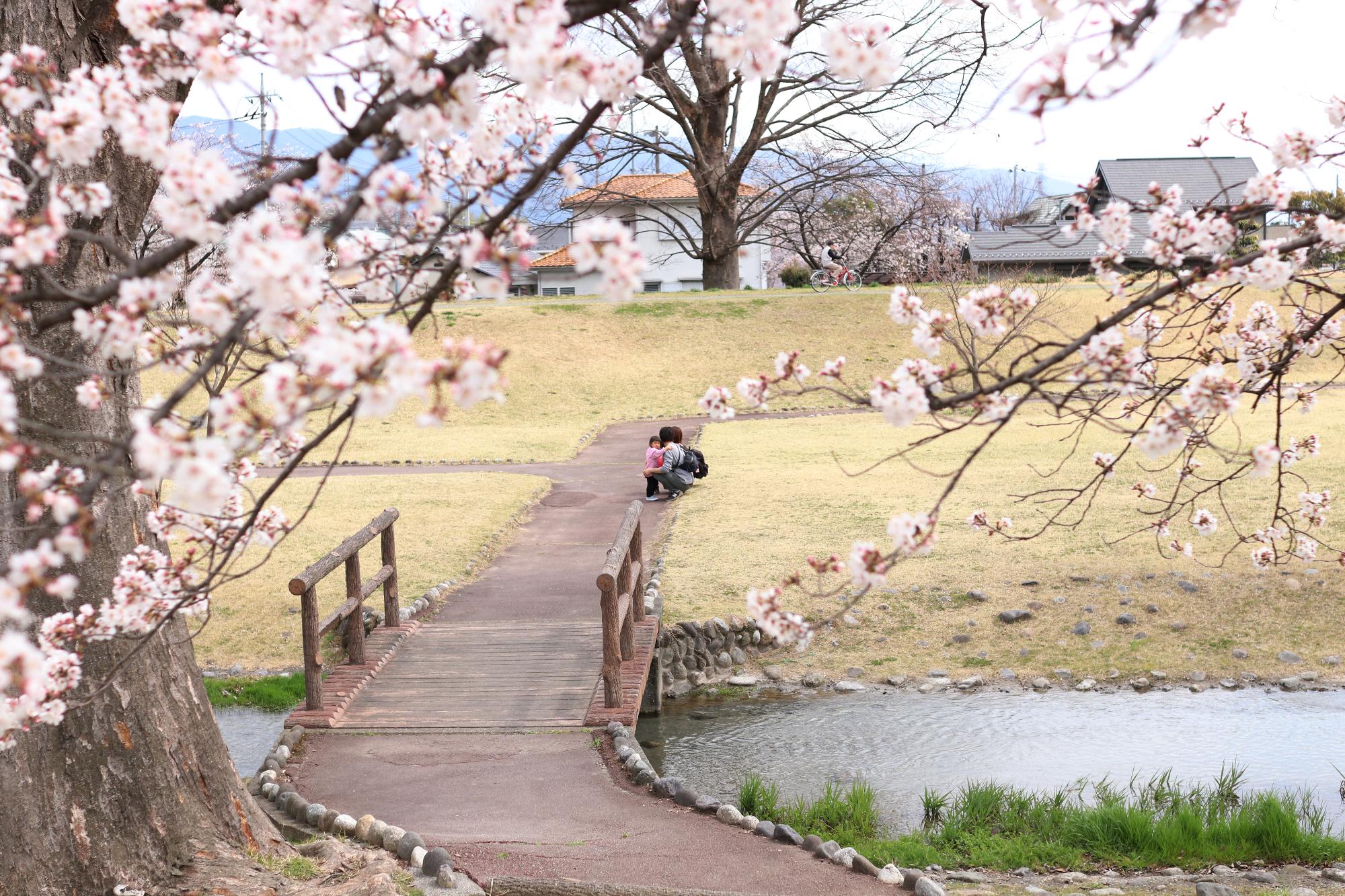 信玄堤公園三社神社付近