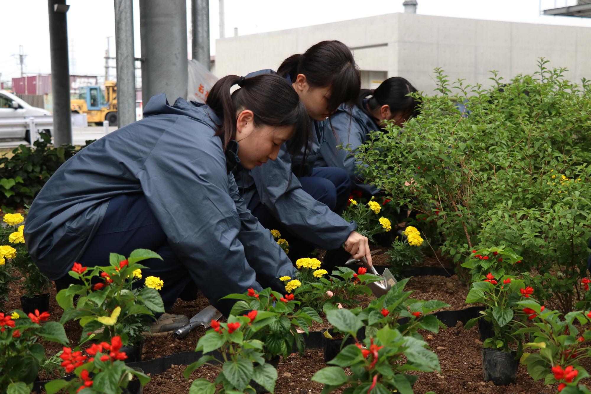 農林高校竜王駅前植花作業