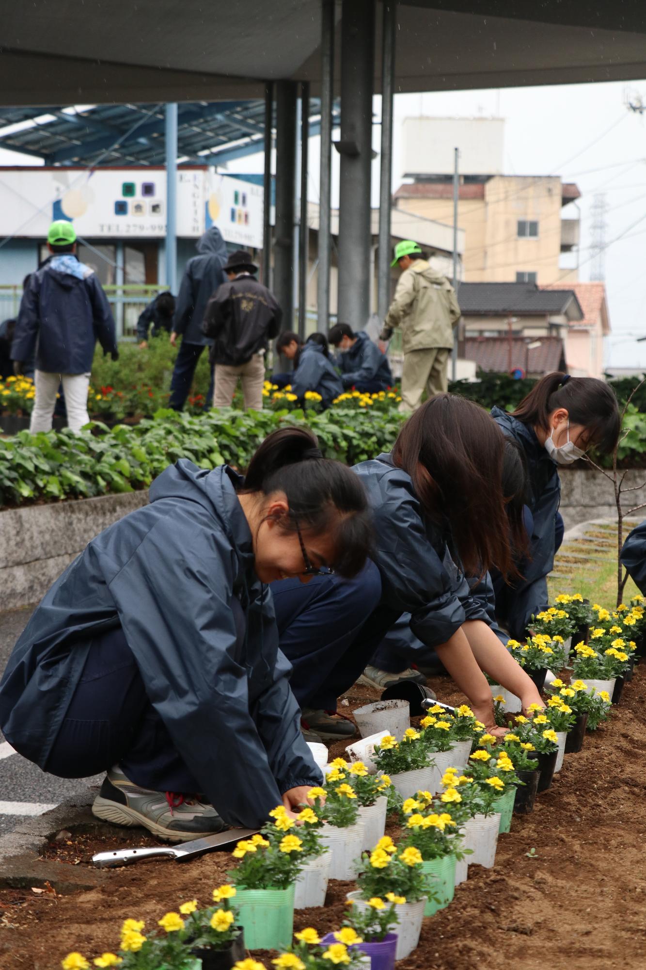 農林高校竜王駅前植花作業