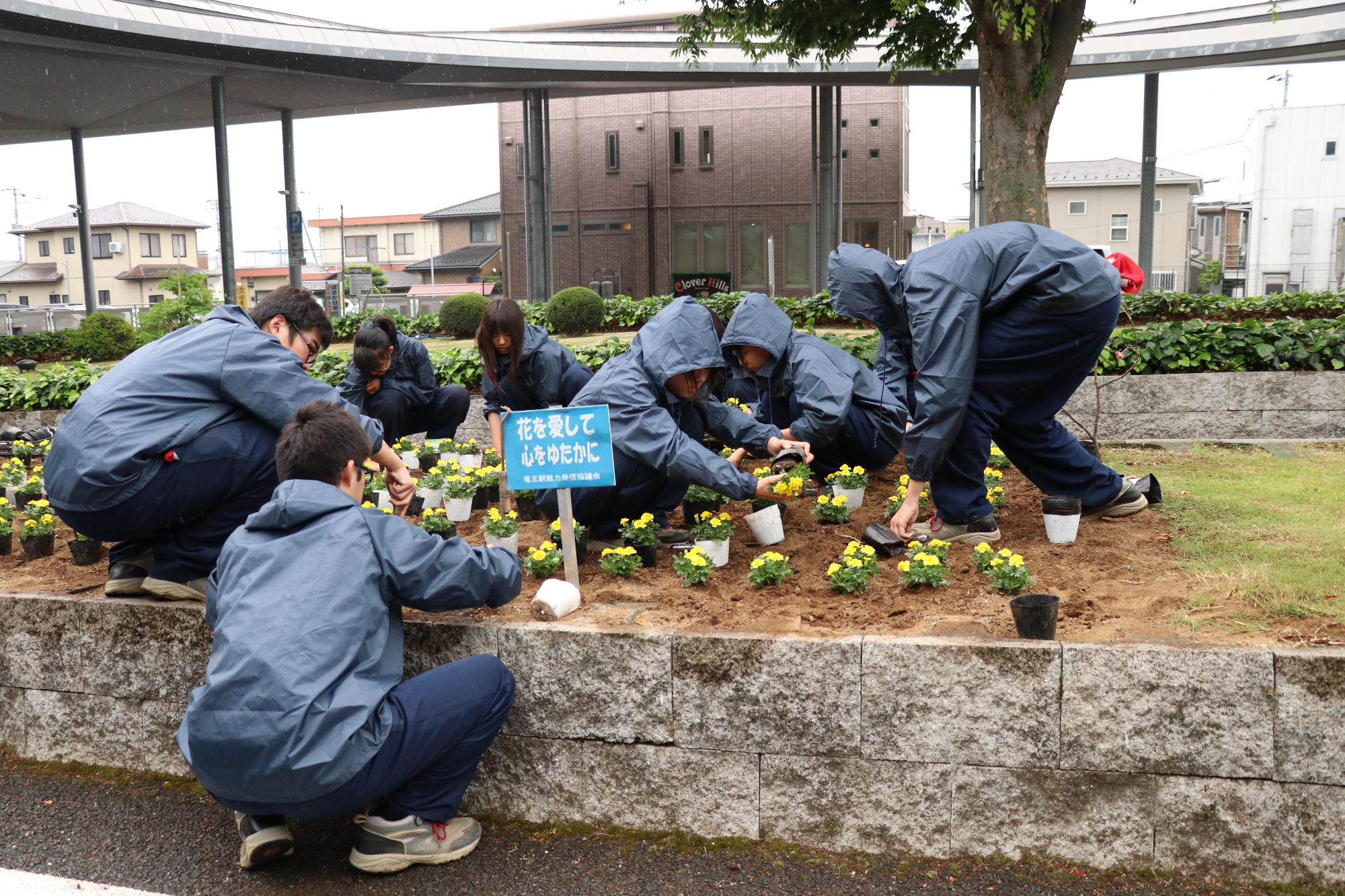 農林高校竜王駅前植花作業