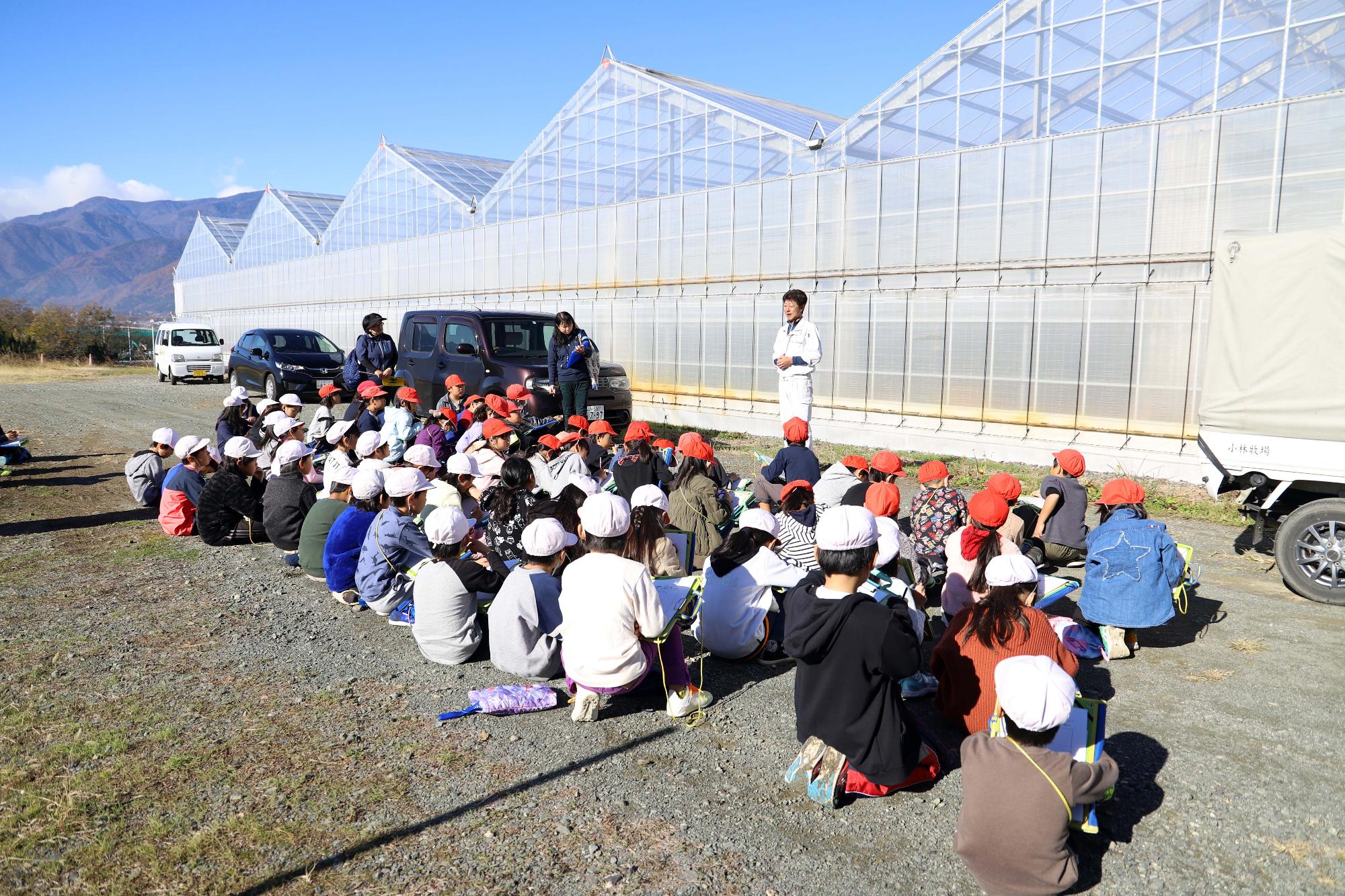 赤坂農場で赤坂とまとの校外学習