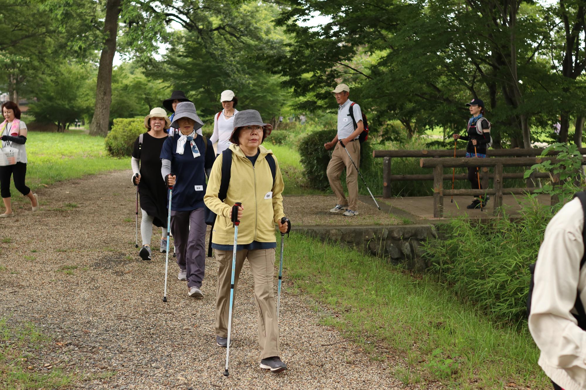 初夏のウォーキング教室