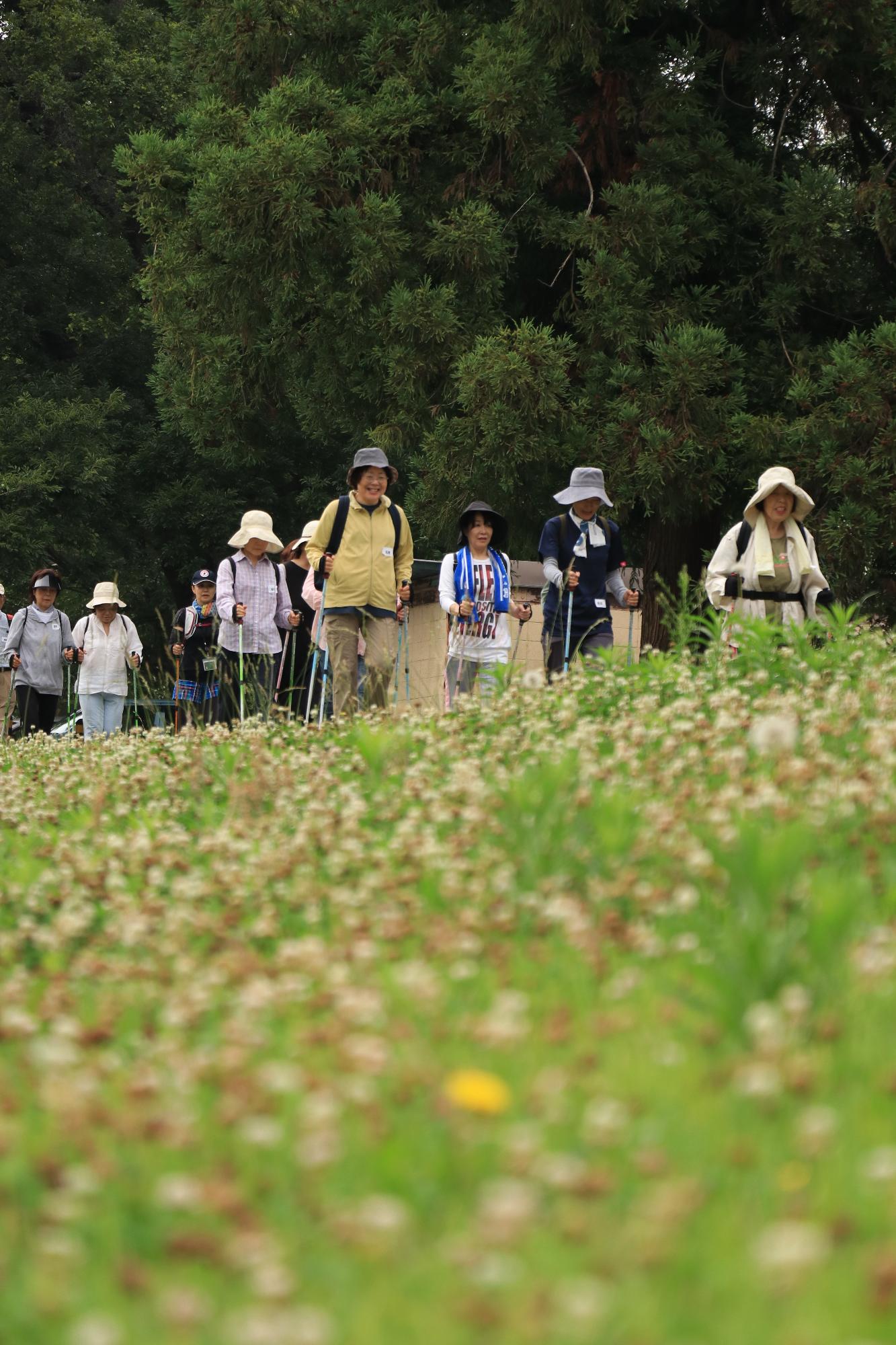 初夏のウォーキング教室